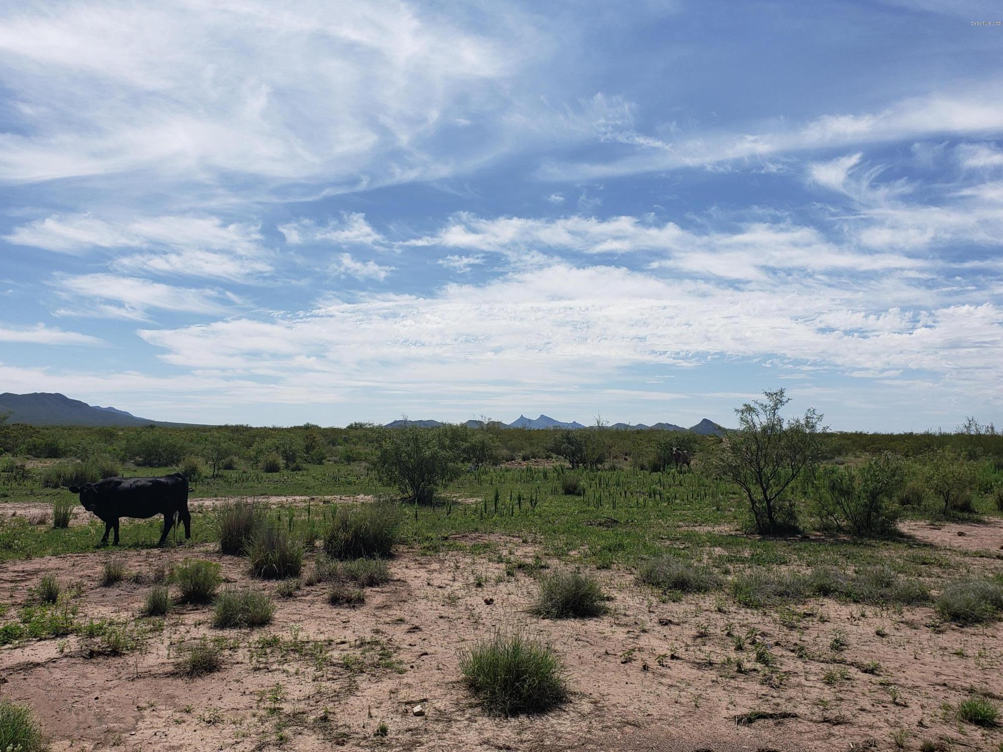 Out Of Pima County - Land