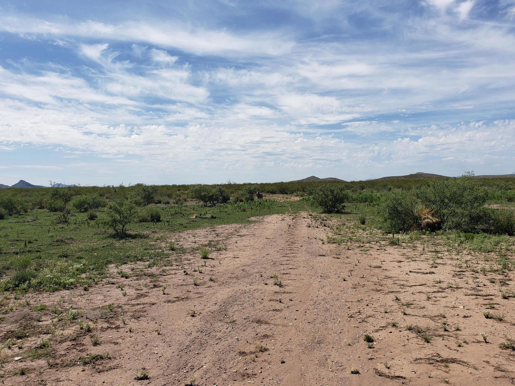 Out Of Pima County - Land