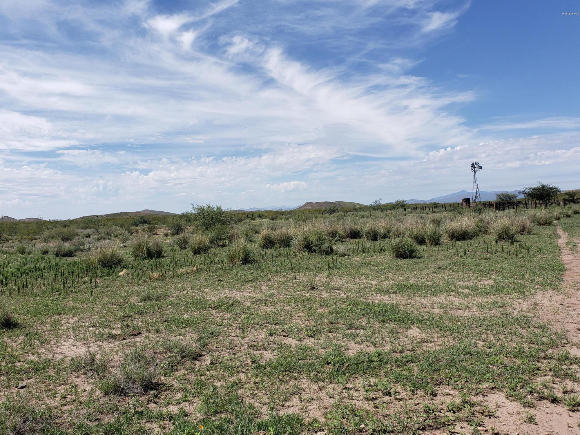Out Of Pima County - Land