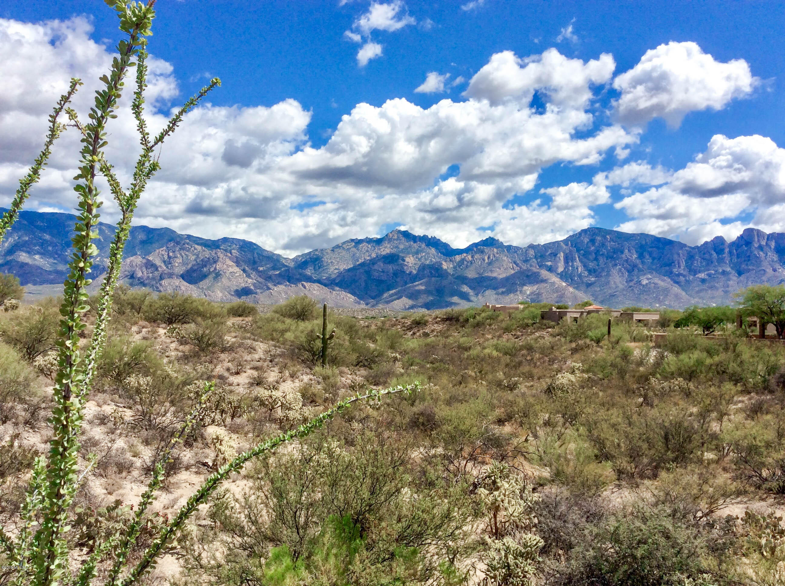 High Mesa (The Estates At) - Residential