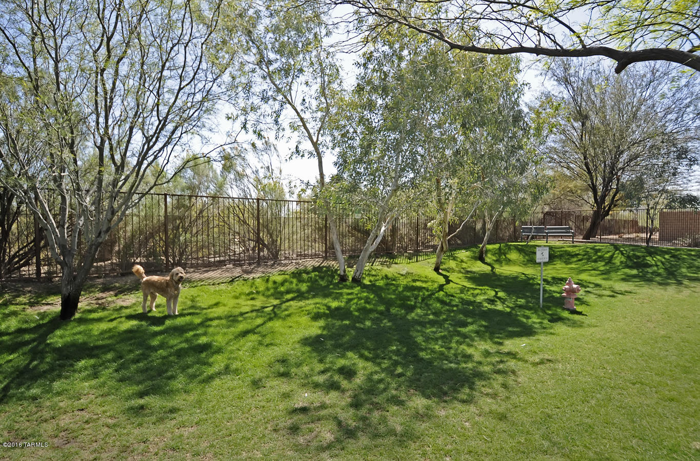 Miramonte at the River (1-163) - Residential