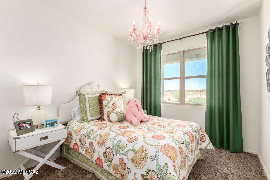 Saguaro Bloom SQ20180540069 - Residential