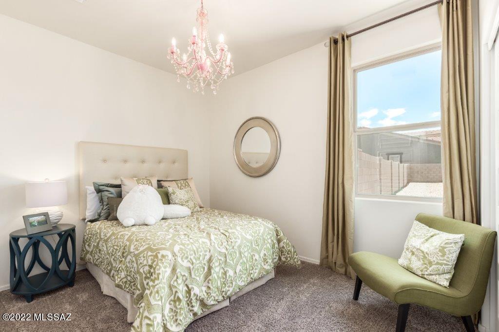 Saguaro Bloom SQ20180540069 - Residential