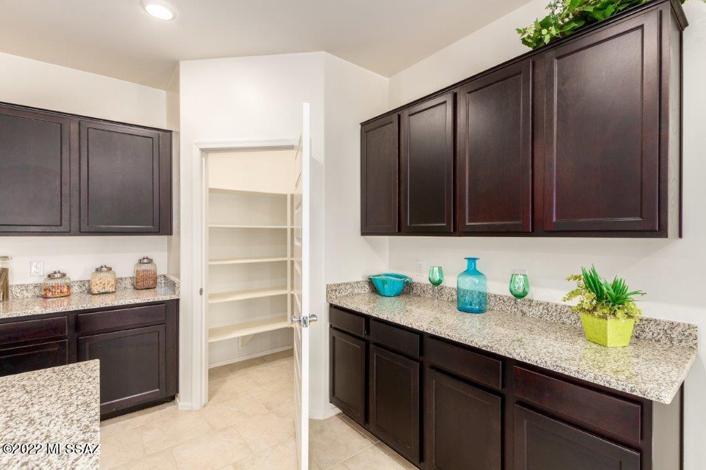 Saguaro Bloom SQ20180540069 - Residential