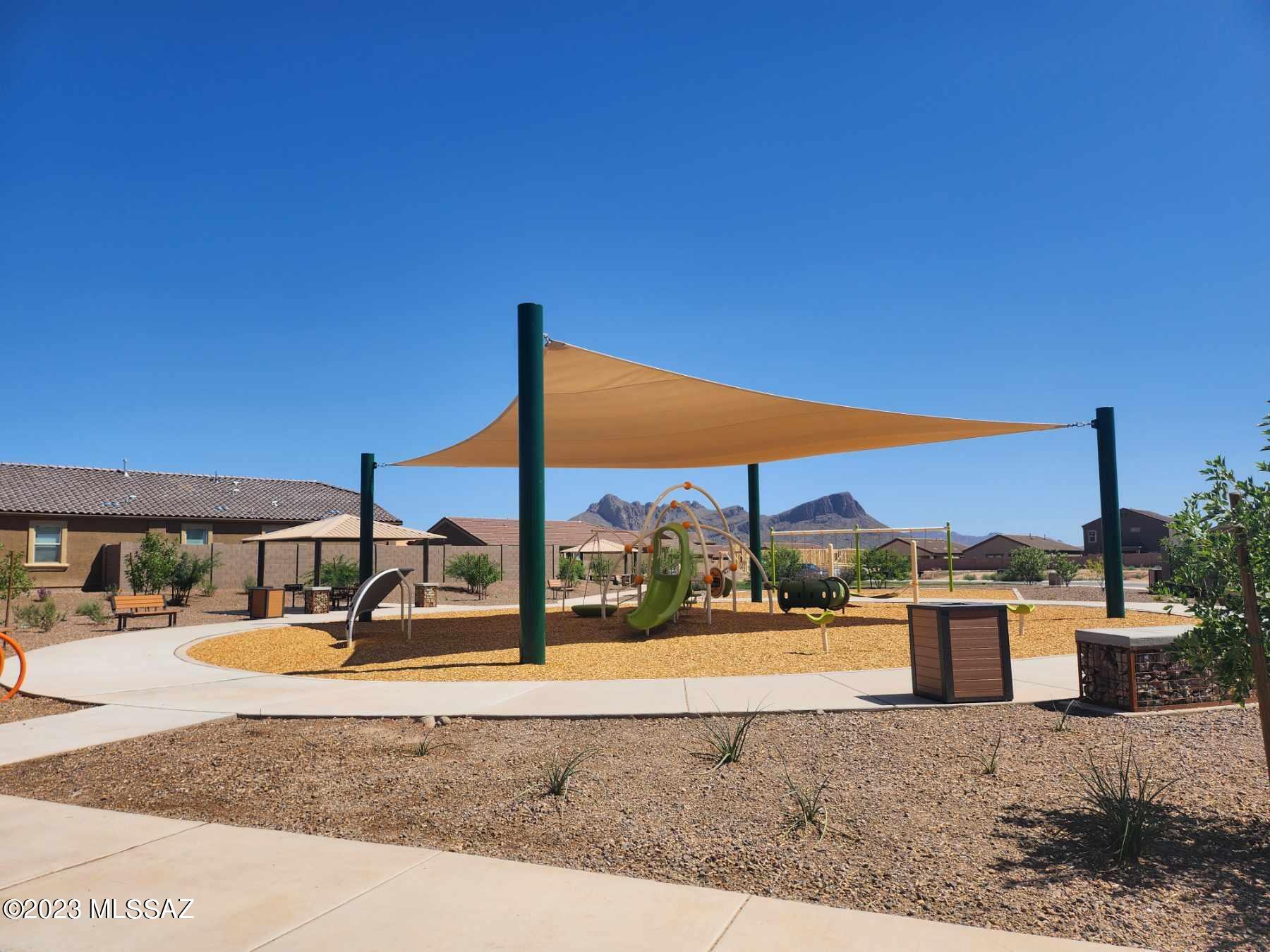 Saguaro Bloom SQ20180540069 - Residential