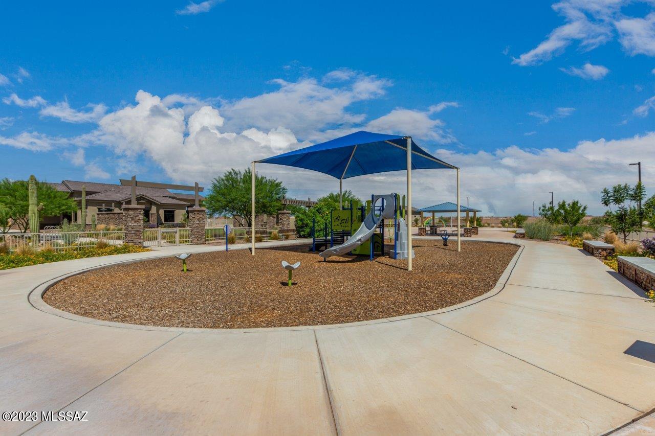 Saguaro Bloom SQ20180540069 - Residential