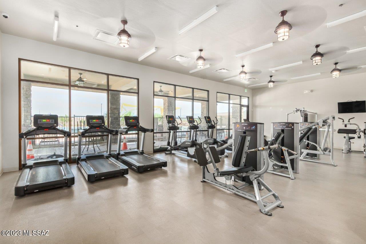 Saguaro Bloom SQ20180540069 - Residential
