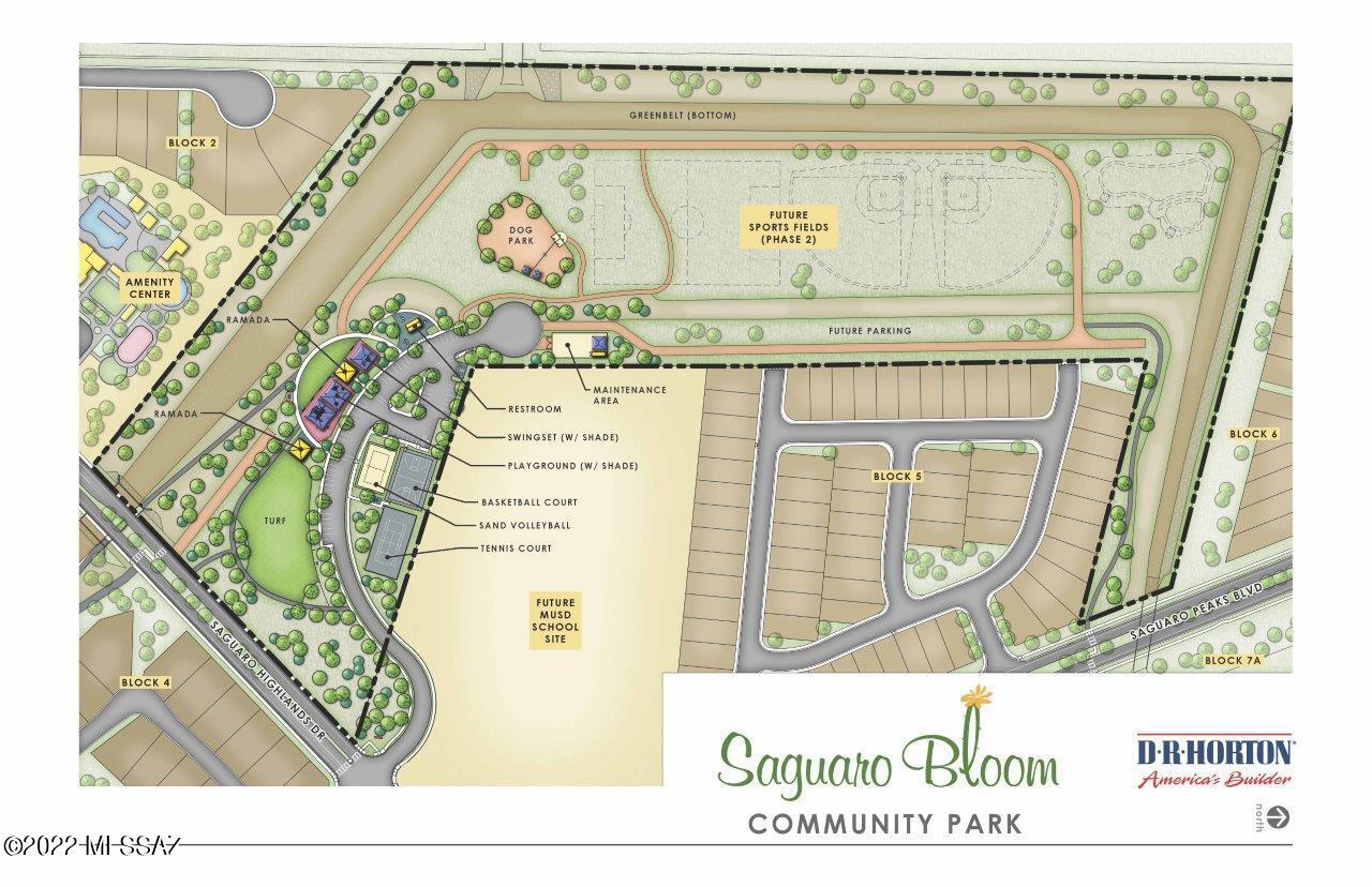 Saguaro Bloom SQ20180540069 - Residential