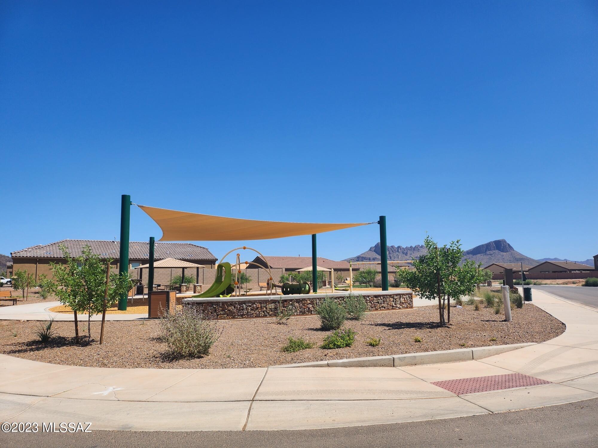 Saguaro Bloom SQ20180540069 - Residential