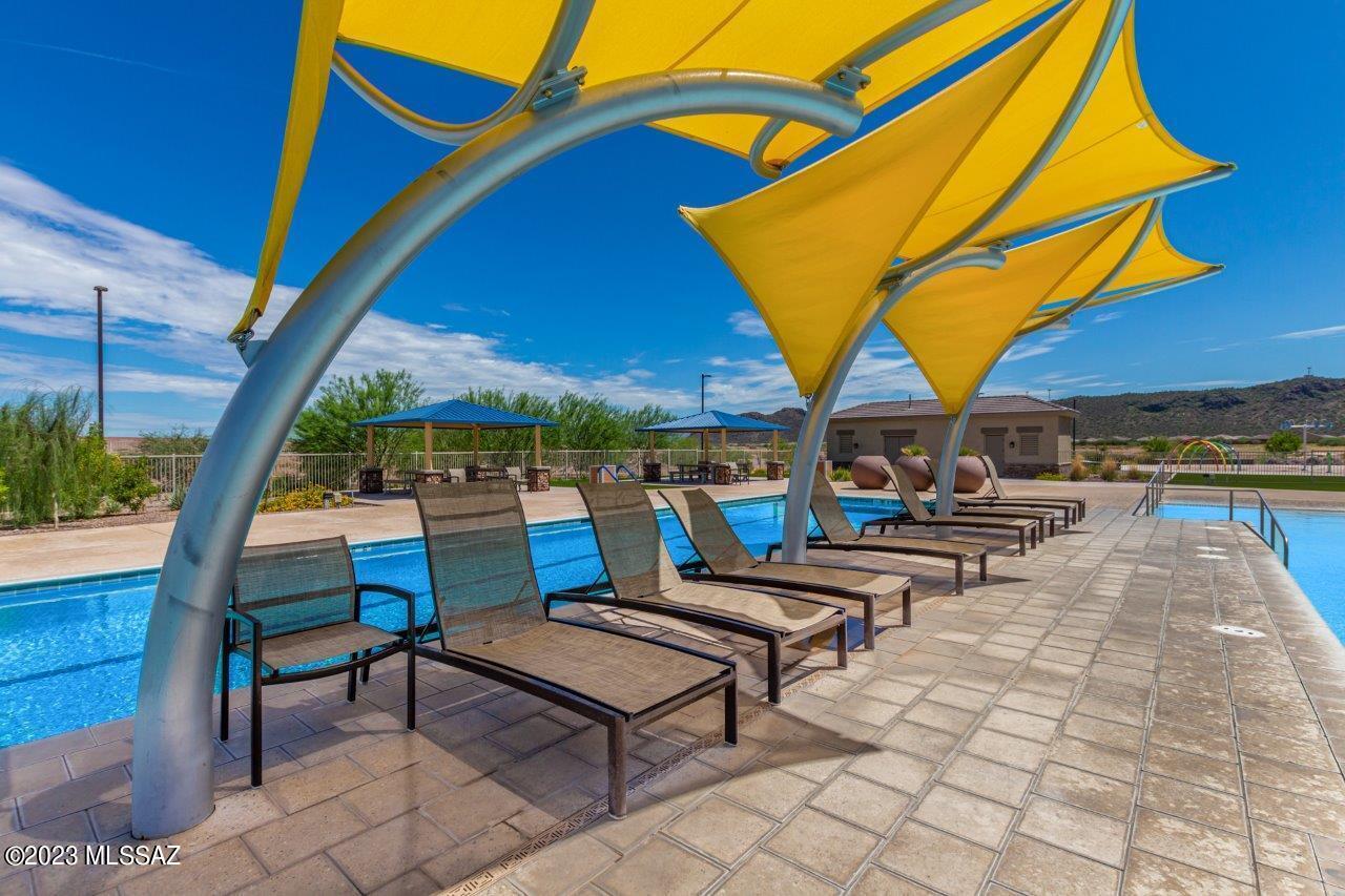 Saguaro Bloom SQ20180540069 - Residential