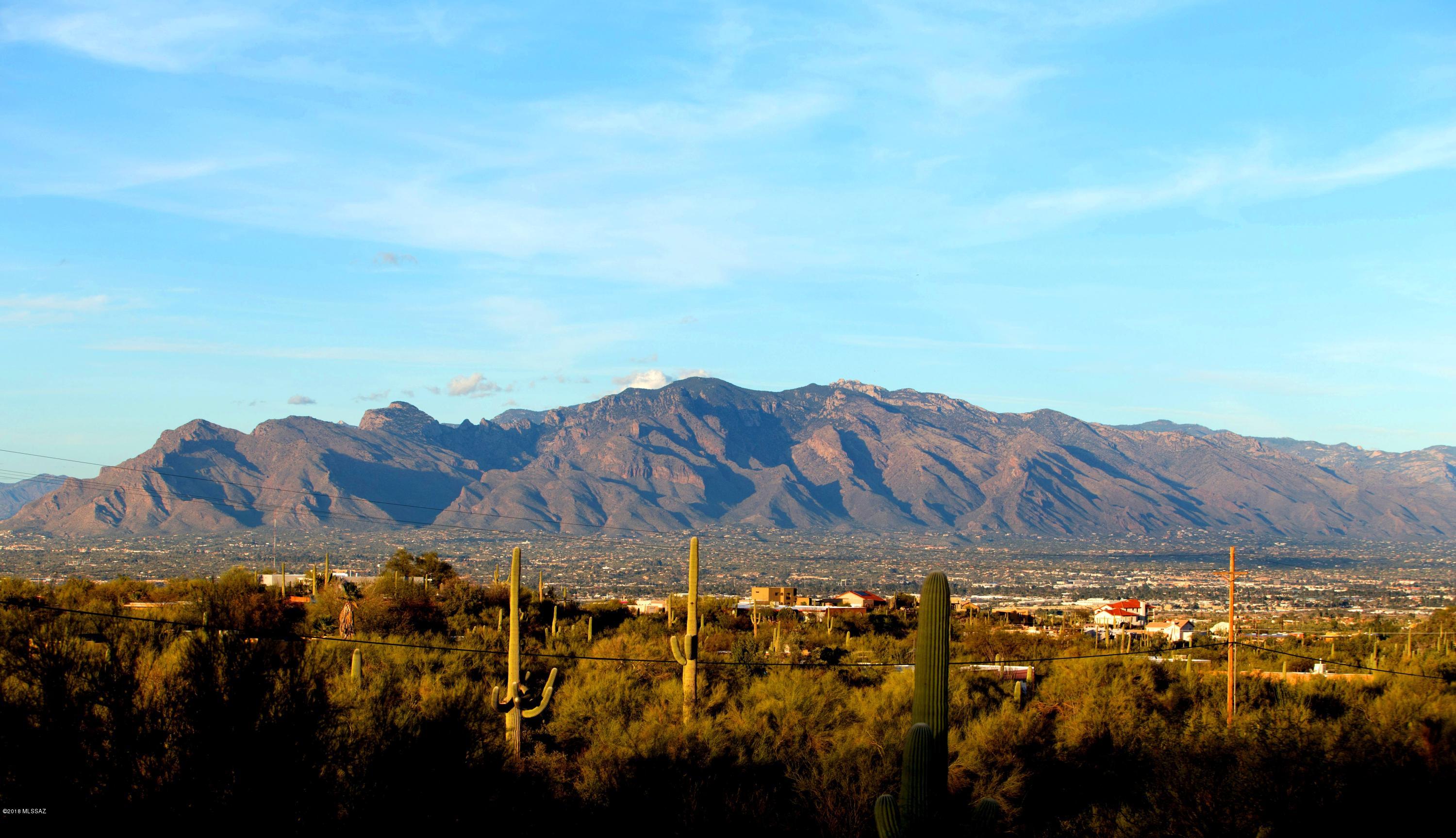 Saguaro Cliffs (1-61) - Residential