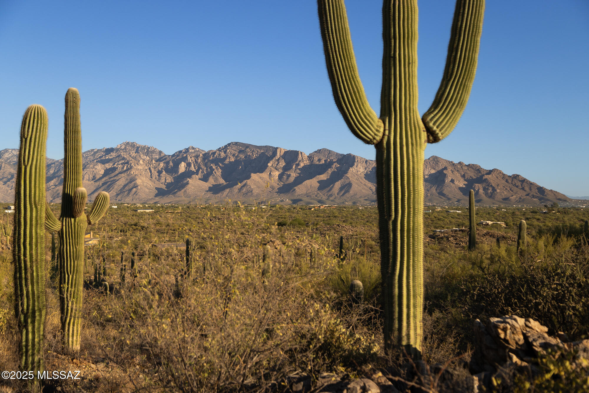 Saguaro Ranch South Amended - Land