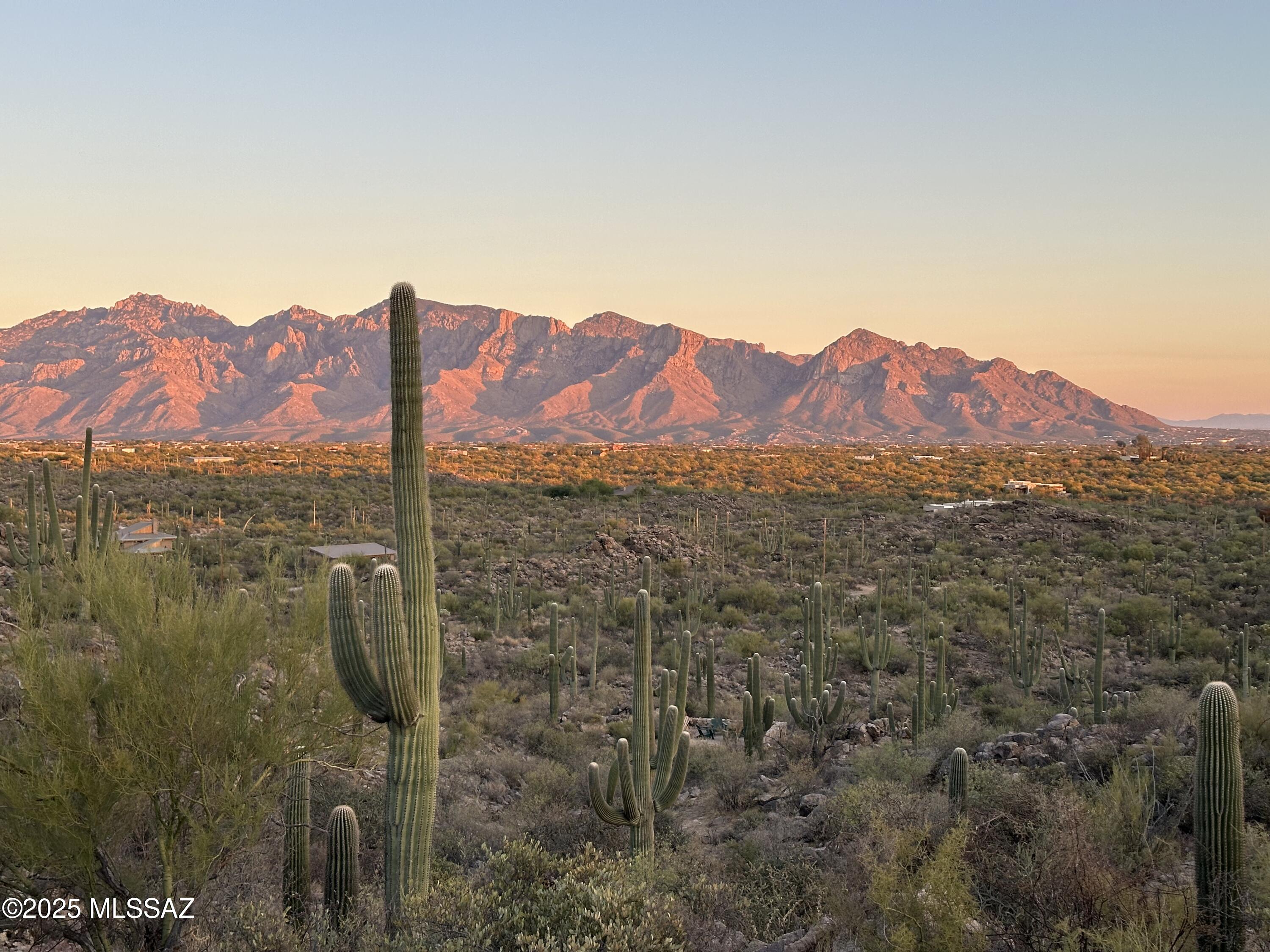 Experience the ultimate in desert luxury with this exceptional 4-acre homesite located within the prestigious gated community of Saguaro Ranch. The serene beauty of Oro Valley, this remarkable property showcases sweeping panoramic views of the Catalina Mountains, an awe-inspiring backdrop for your custom dream home.
Enjoy unmatched privacy and tranquility on your expansive estate while still being part of a vibrant, exclusive community celebrated for its dramatic landscapes and unforgettable sunrises. With abundant space to design and build, you have the freedom to create a residence that perfectly reflects your vision, complete with all the luxurious features you desire.
This is a rare opportunity to own a piece of AZ's natural splendor in one of its most sought-after Saguaro Ranch,