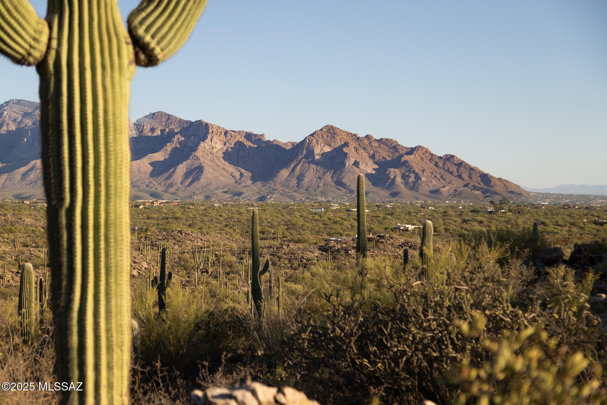 Saguaro Ranch South Amended - Land