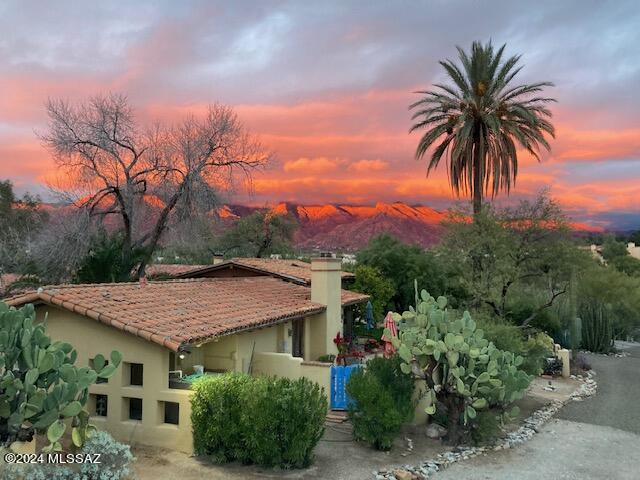 DO NOT CALL OWNER***QUINTESSENTIAL JOESLER ON 7+ ACRES IN THE ''OLD '' CATALINA FOOTHILLS. THIS ONE HAS IT ALL! CHARM AND CHARACTER OOZING FROM EVERY ROOM. THE GORGEOUS BEAMED CEILINGS TO THE FABULOUS COLORED TILE FLOORS AND MULTIPLE FIREPLACES.A BEAUTIFUL SUN ROOM OVERLOOKING LAWN, CITRUS TREES AND POOL. ORIGINAL  4 BDRM IN HSE PLUS FABULOUS GUEST QUARTERS  WHICH WAS BUILT TO BE NEW PRIMARY SUITE.
THE GROUNDS ARE A GARDENERS DELIGHT . HORSE PROPERTY WITH SMALL BARN ADJACENT TO A WASH TO RIDE IN, CHICKEN COOP AND RAISED PLANTERS . PROPERTY HAS ITS OWN WONDERFUL WELL!