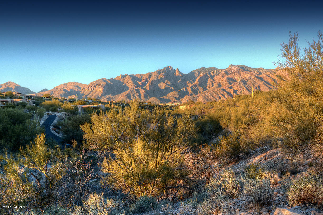 Catalina Foothills Est. NO. 10 (73-90, 119, 121, 123, 127-146) - Residential