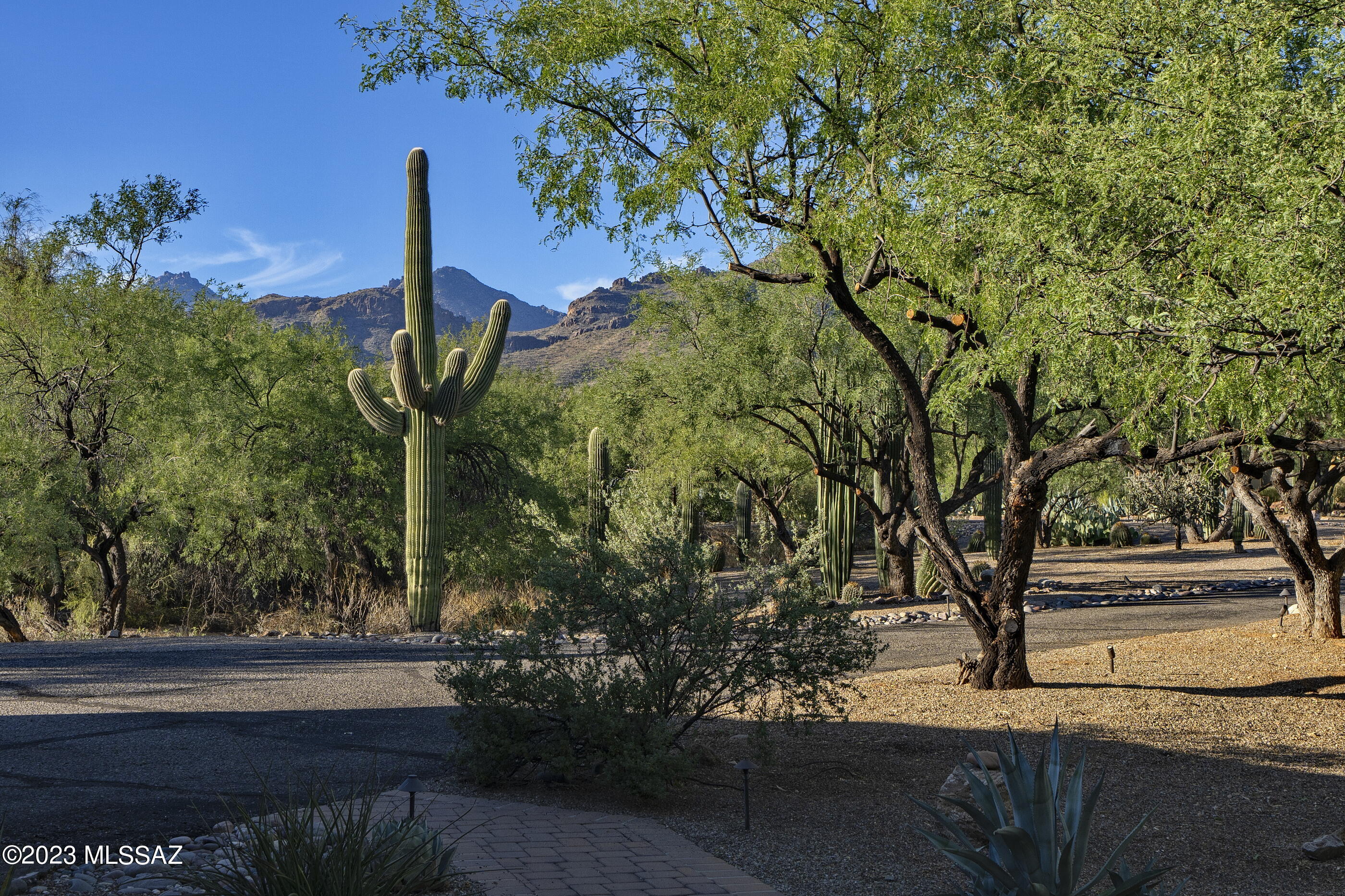 Snyder Canyon Estates (1-20) - Residential