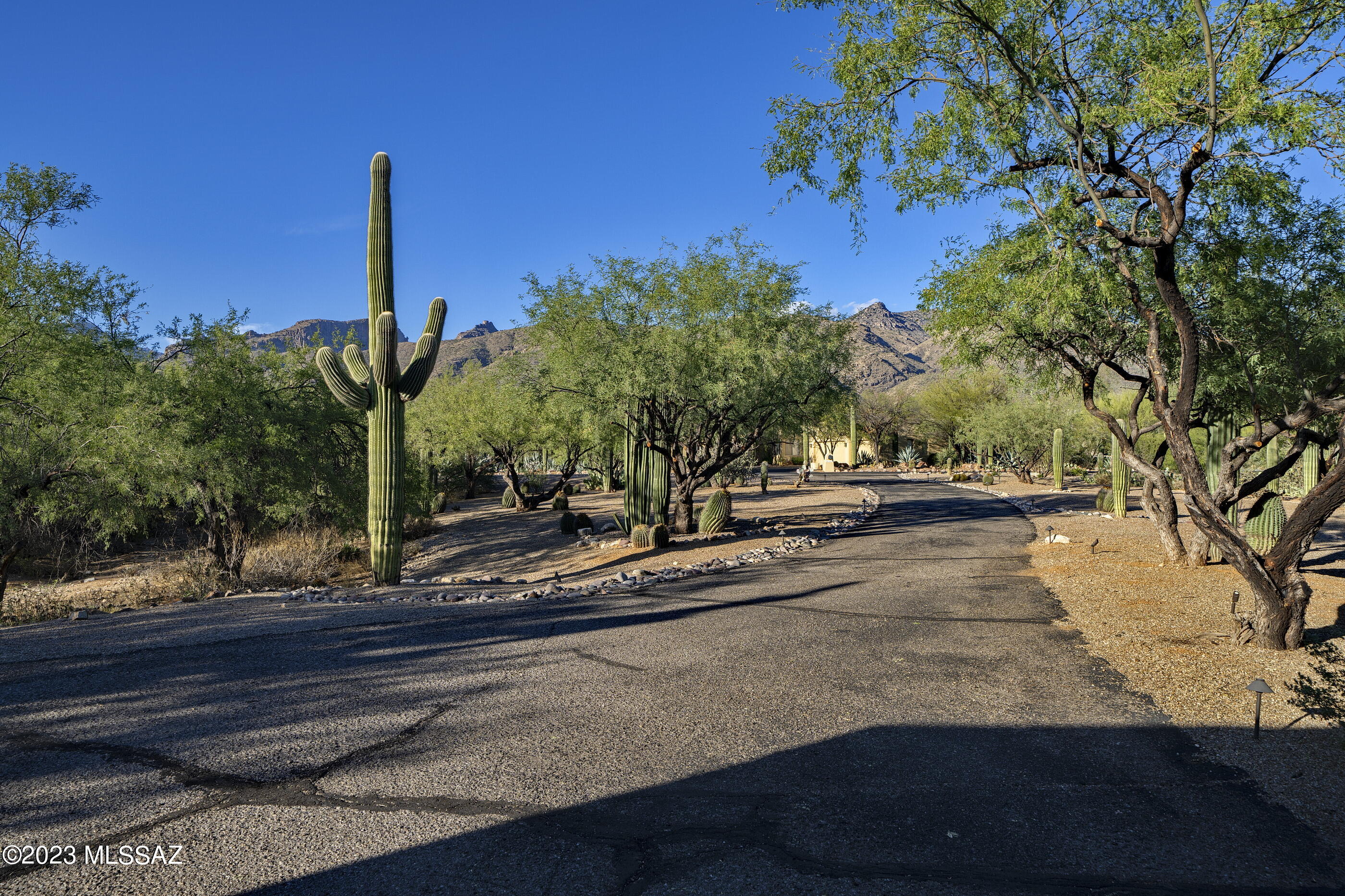 Snyder Canyon Estates (1-20) - Residential