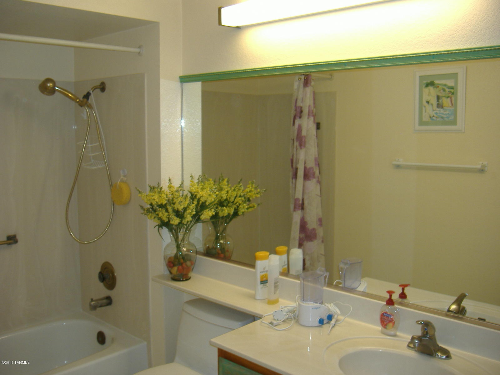 Sun City Vistoso Unit 5(1-288) - Residential
