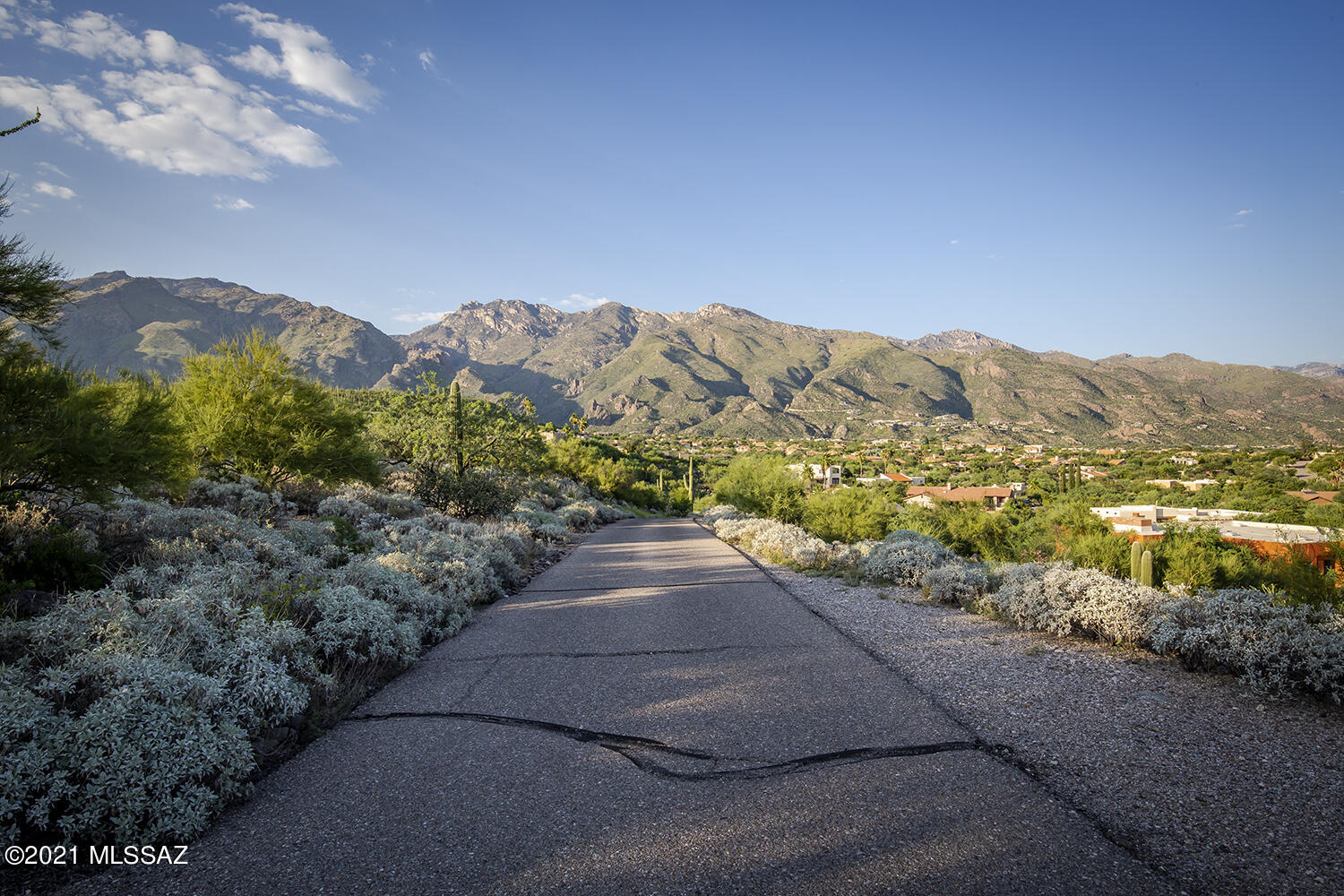 Cimarron Foothills Estates (180-253) - Residential