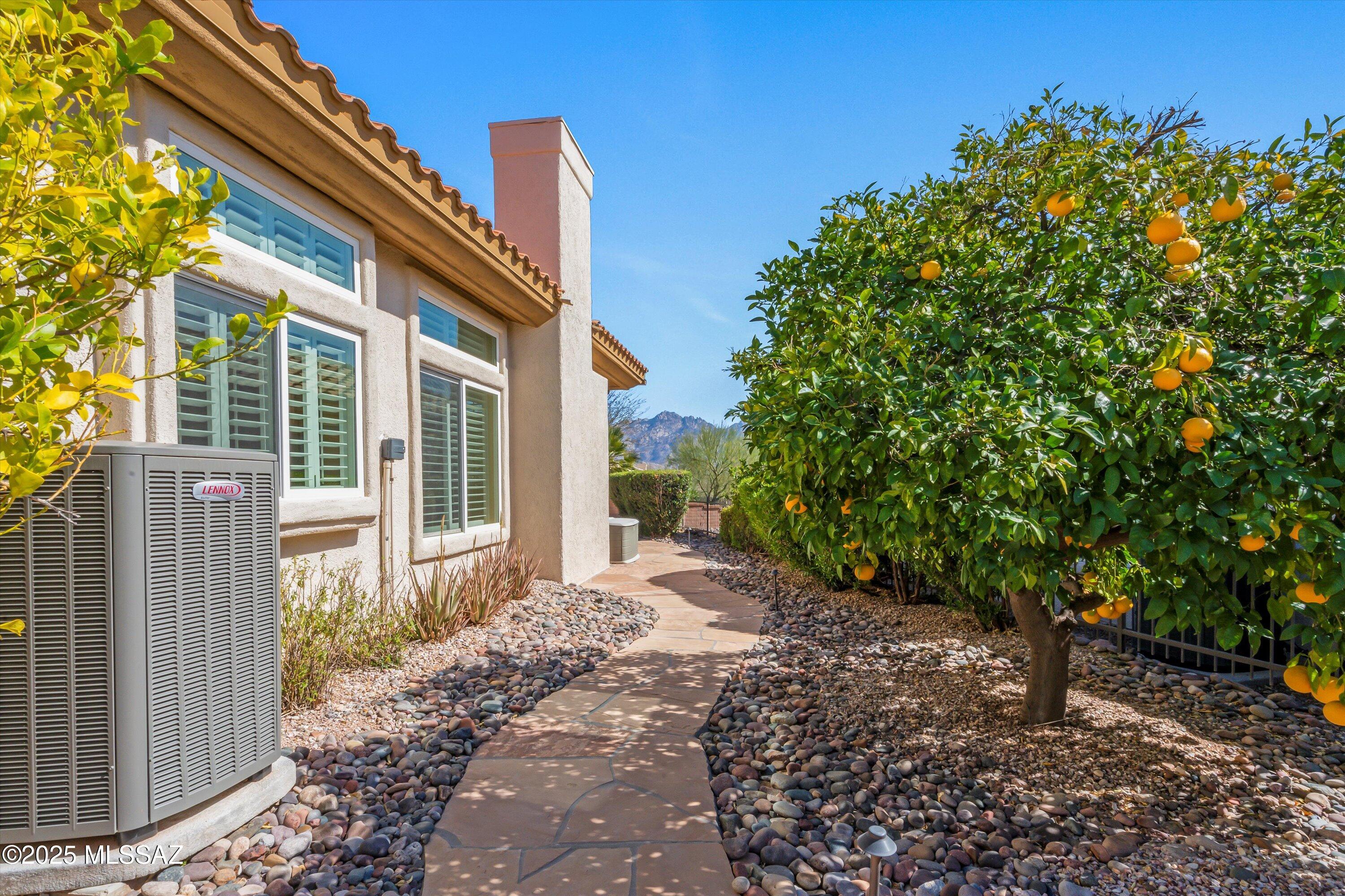 Sun City Vistoso Unit 7(1-227) - Residential
