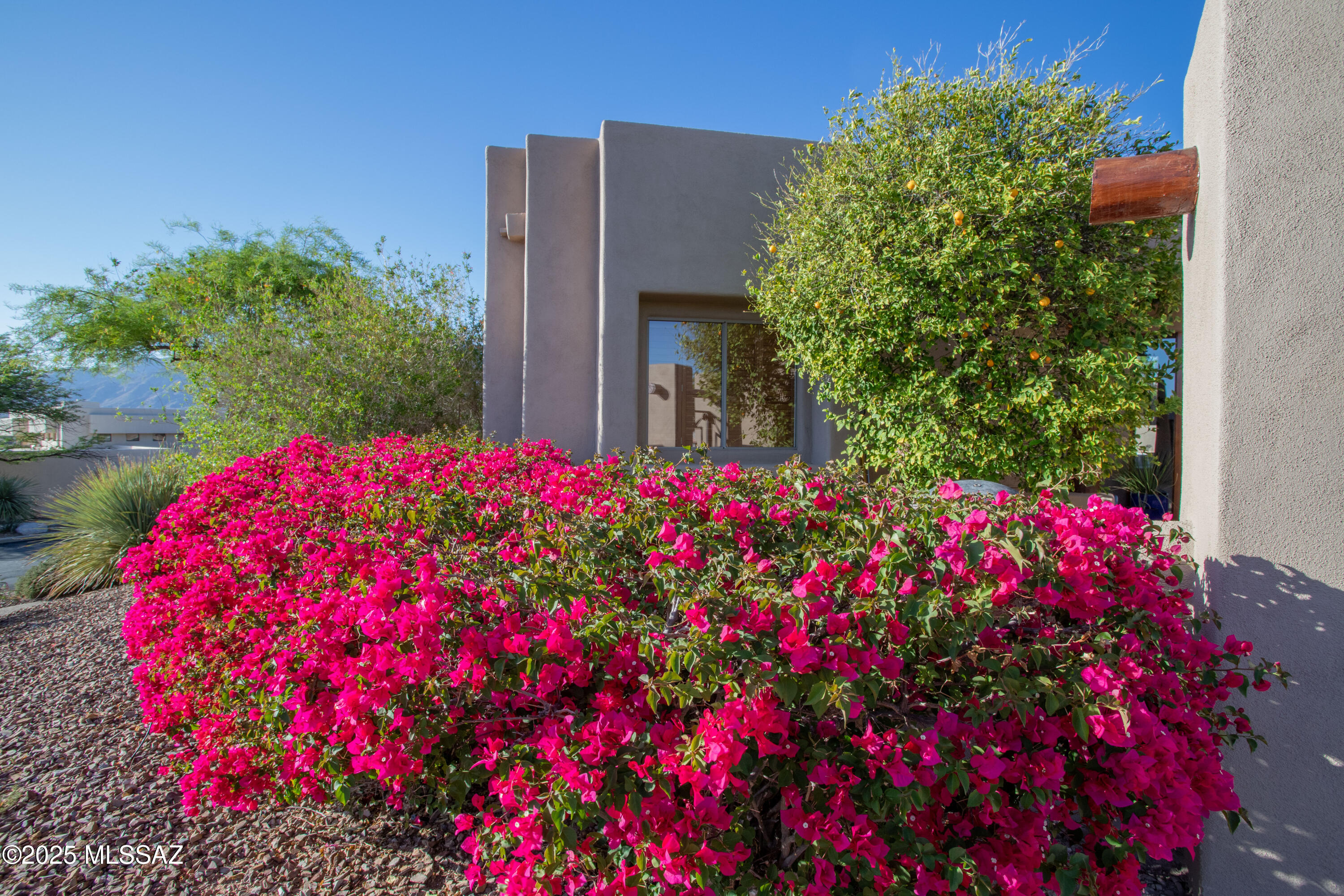 Canyon Ridge (1-40) - Residential