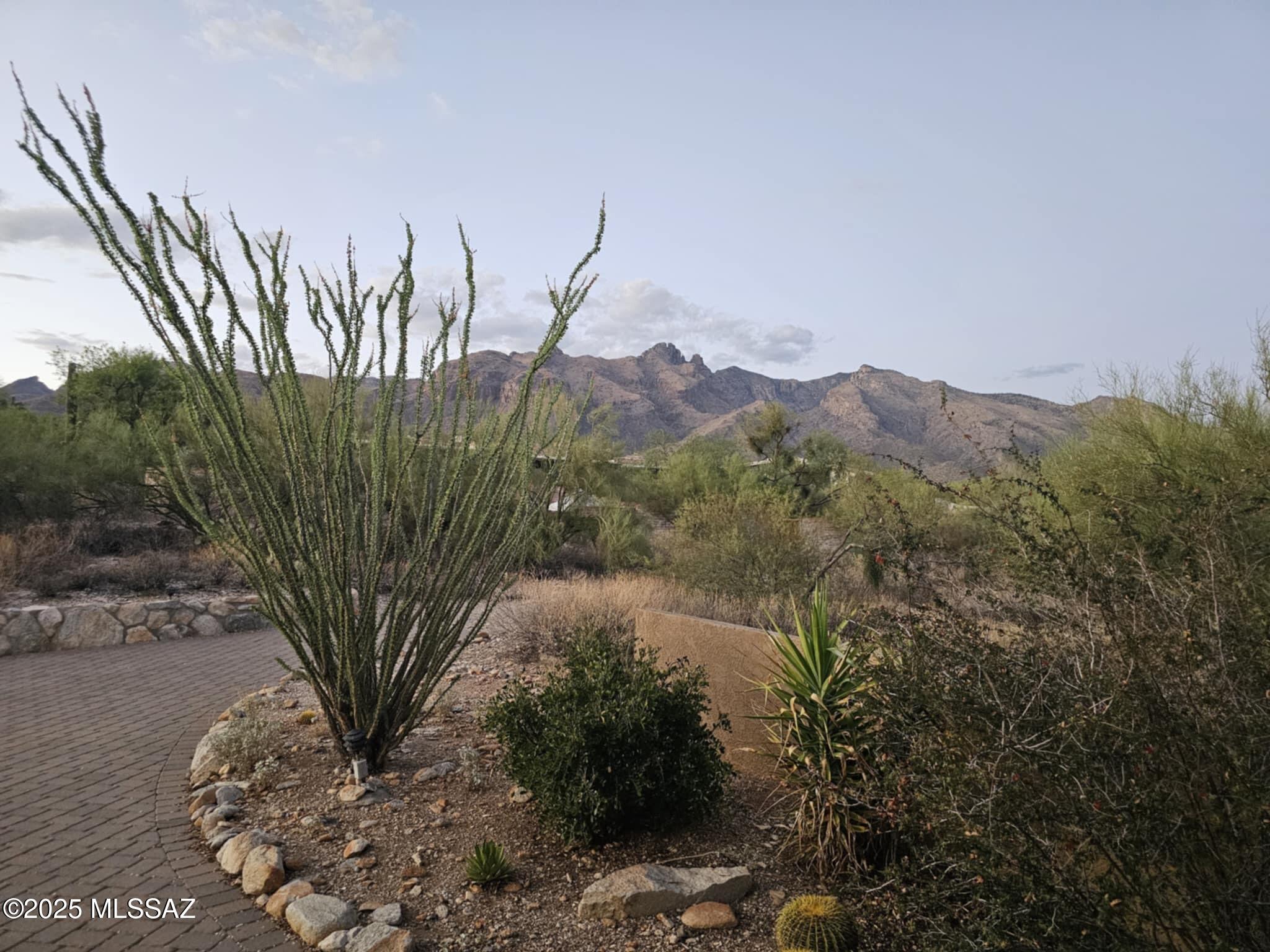 Catalina Foothills Est 9 - Residential