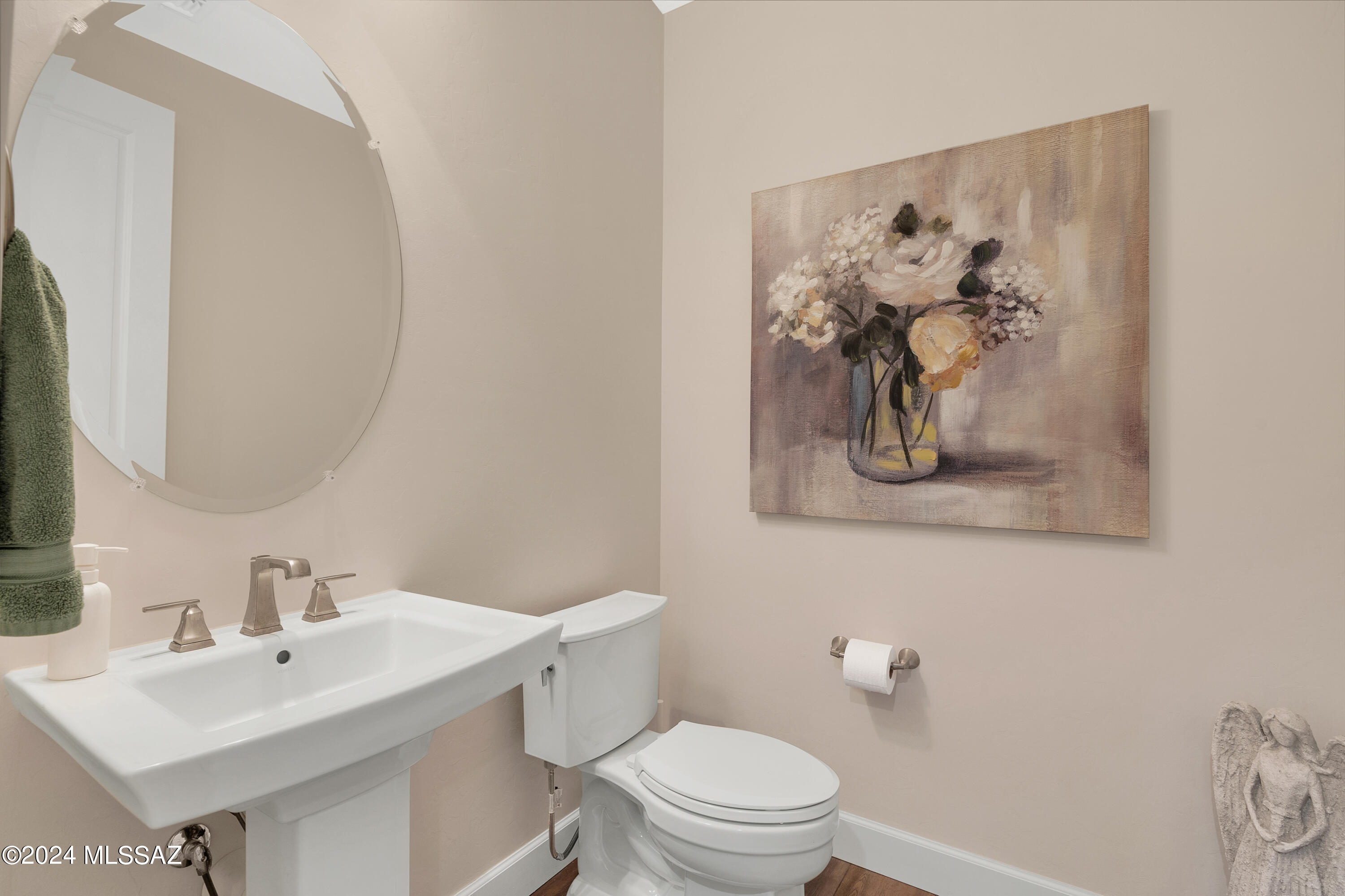 Saddlebrooke Ranch - Residential