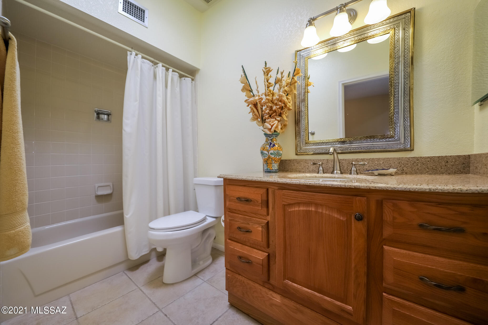 La Cholla Hills(1-313) - Residential