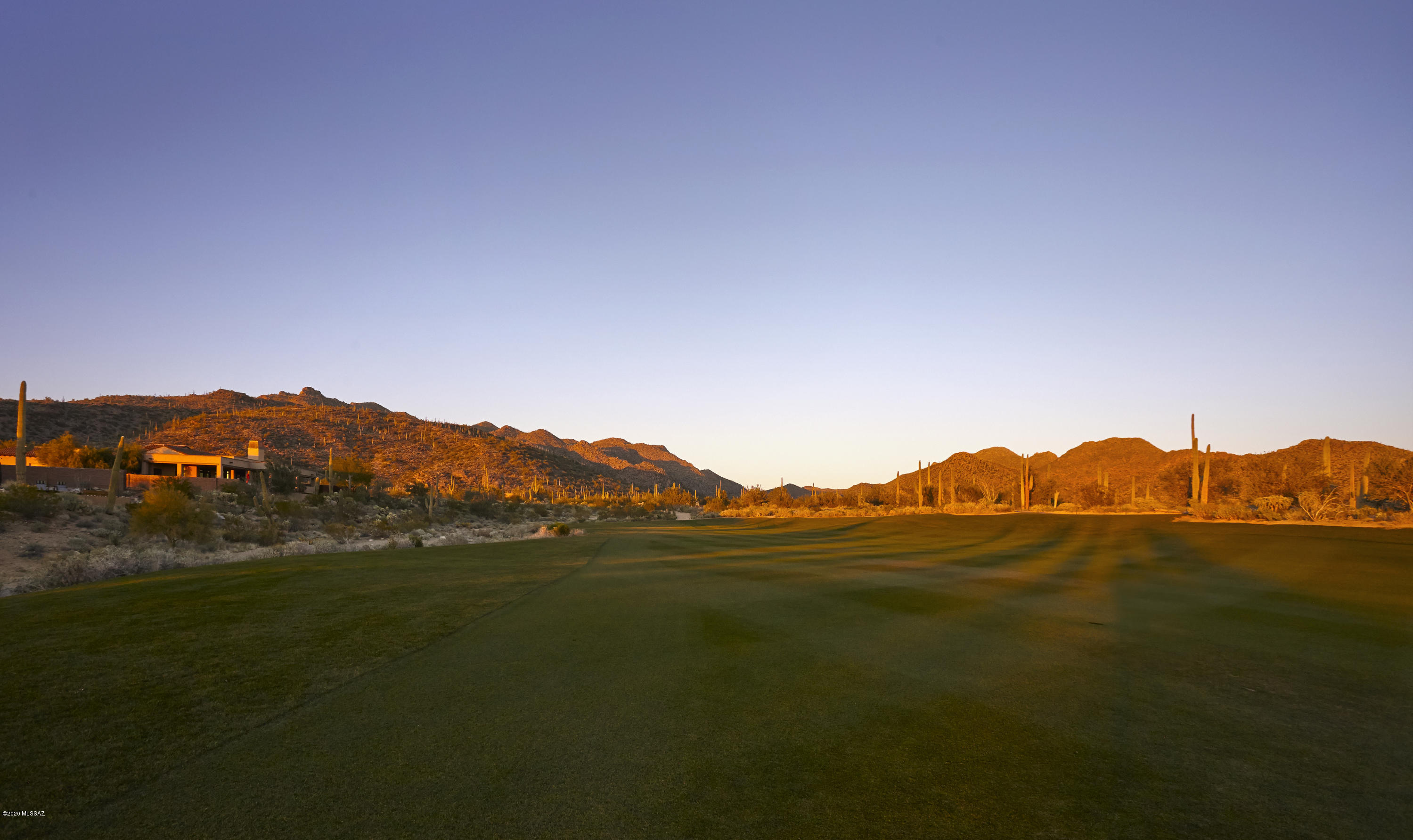 Dove Mountain Resort (1-153) - Residential