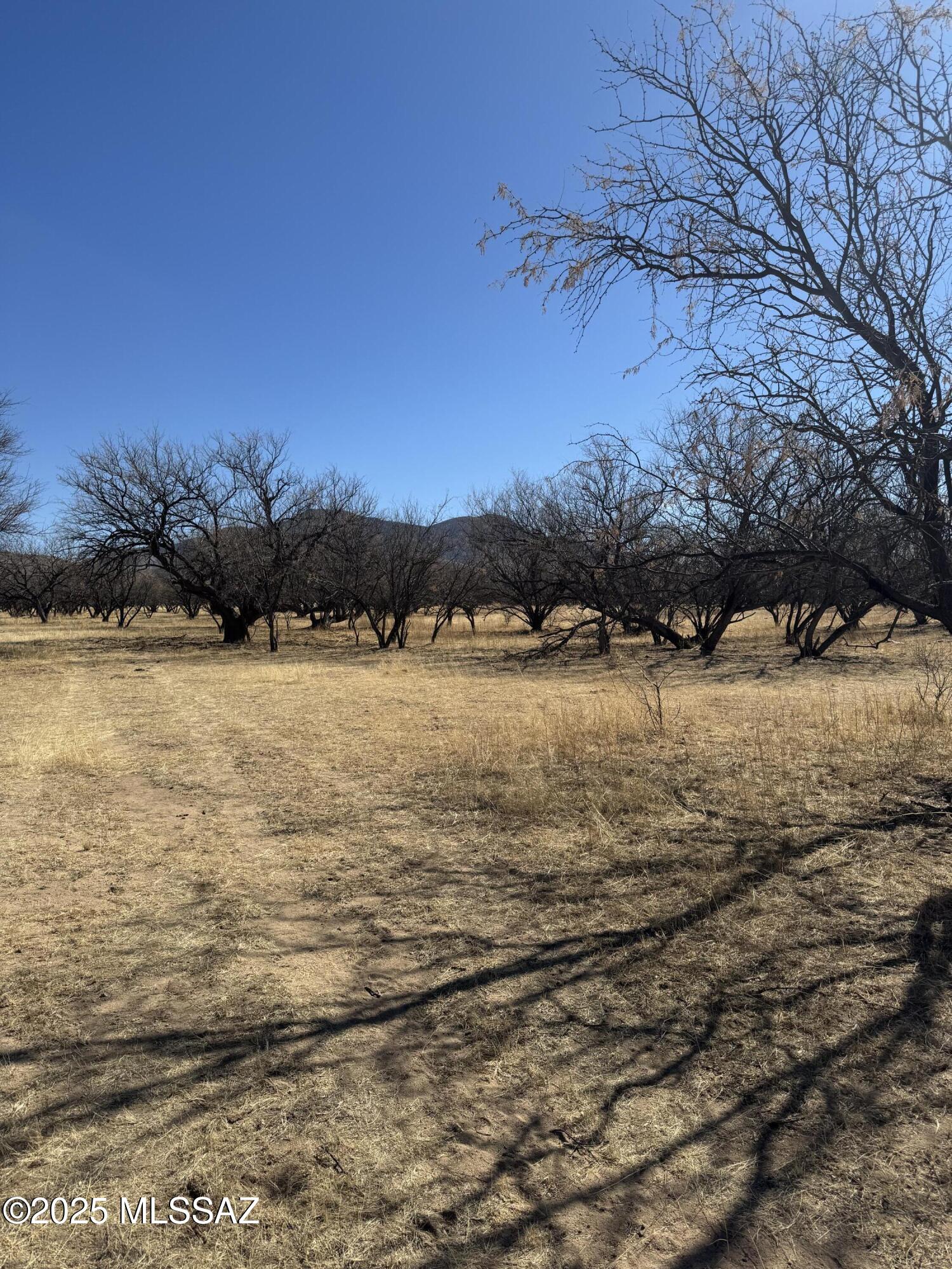 Kino Springs Unit 5 - Land