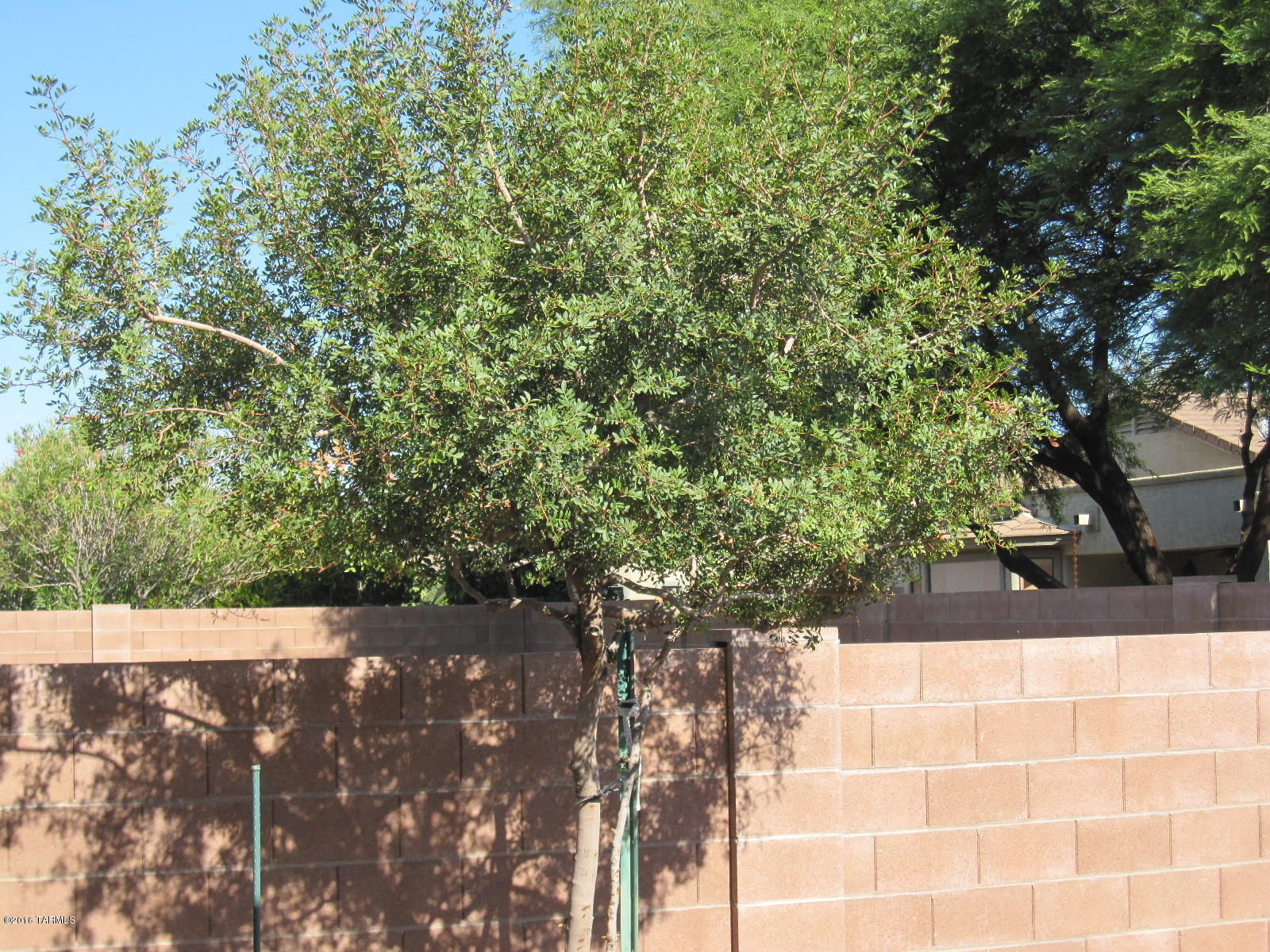 Mesquite Ranch (1-619) - Residential