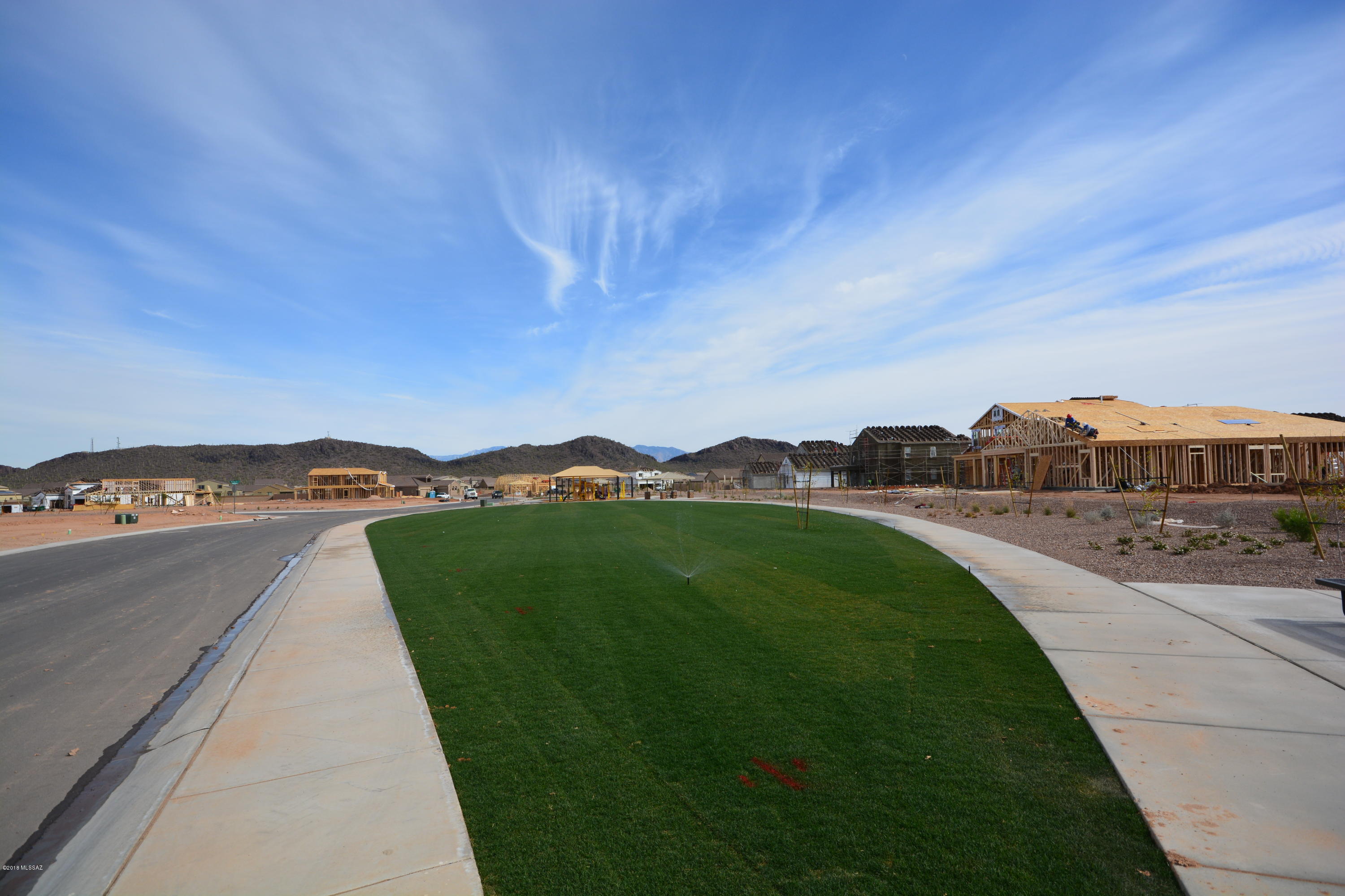Saguaro Bloom Block 3 - Residential