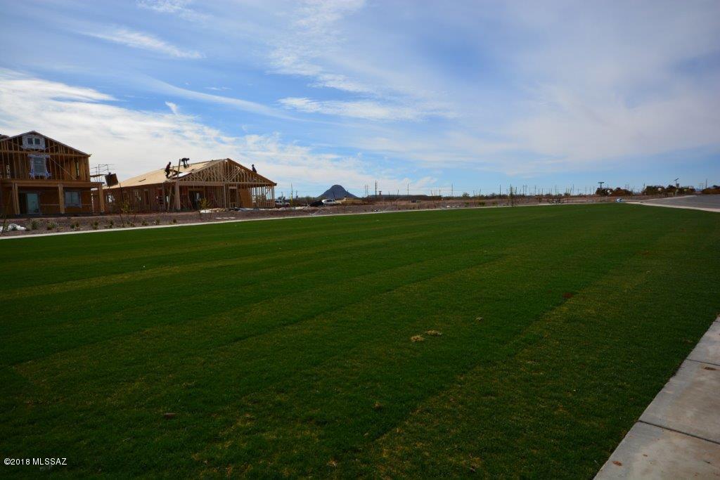 Saguaro Bloom Block 3 - Residential