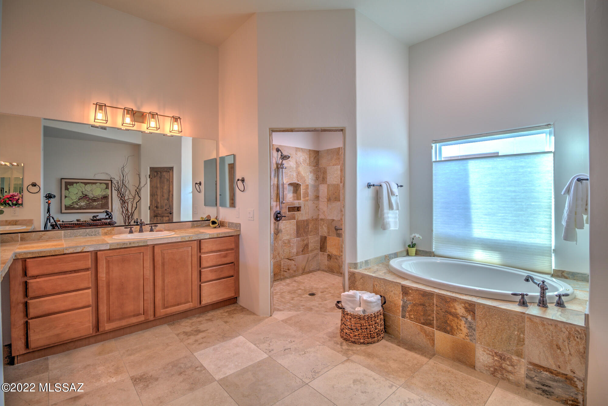 Pusch Ridge Vistas II (1-33) - Residential