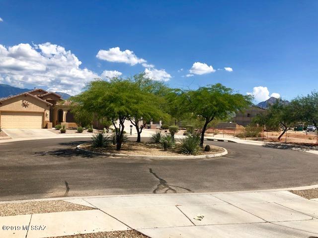 Rancho Vistoso Neighborhood 10 - Residential Lease