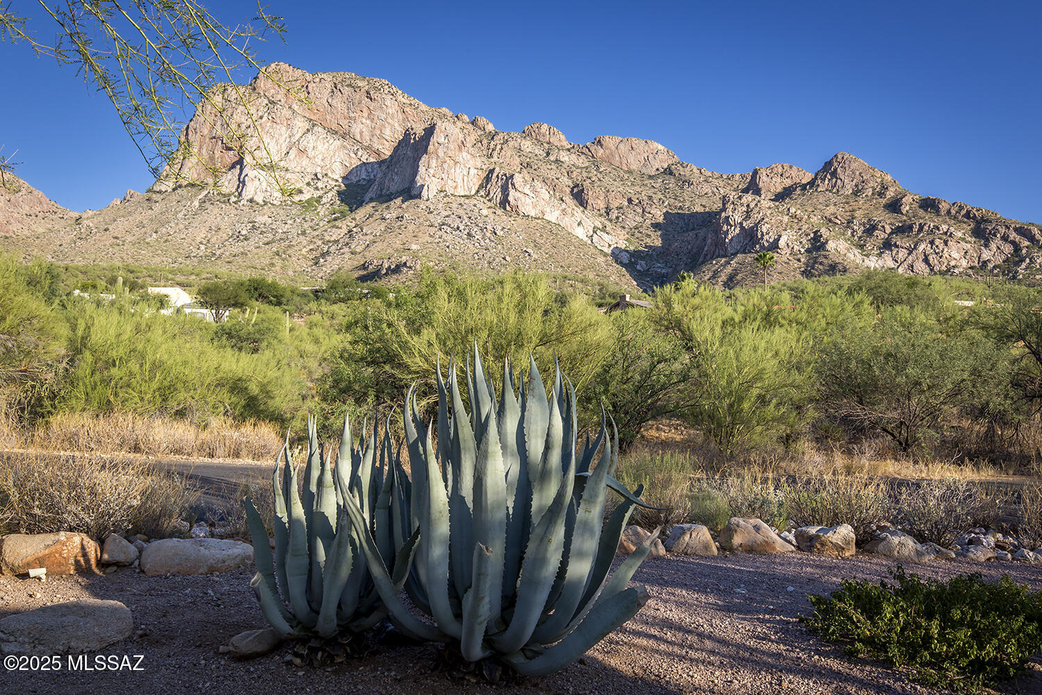 Pusch Ridge Estates (1-65) - Residential