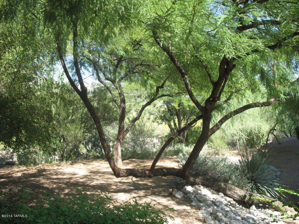 Cozy one bedroom location downstairs in Ventana Canyon area. Private patio that catches just enough of the morning sun to enjoy your morning coffee or tea. Your Kitchen features black appliances, oversize pantry and breakfast bar. Bright and open great room includes a ceiling fan and easy access to your patio. Oversized hall closet between the bedroom and bathroom, Bedroom features spacious walk in closet with full length mirrored door and ceiling fan. Conveniently located to the fitness center,one of two pools with water features and spas, as well as Ramada's with natural gas BBQ grills. Within walking distance to shopping, dining and natural walking trails. Golf and Hiking close by. Gated Access. Awesome Landscaping.