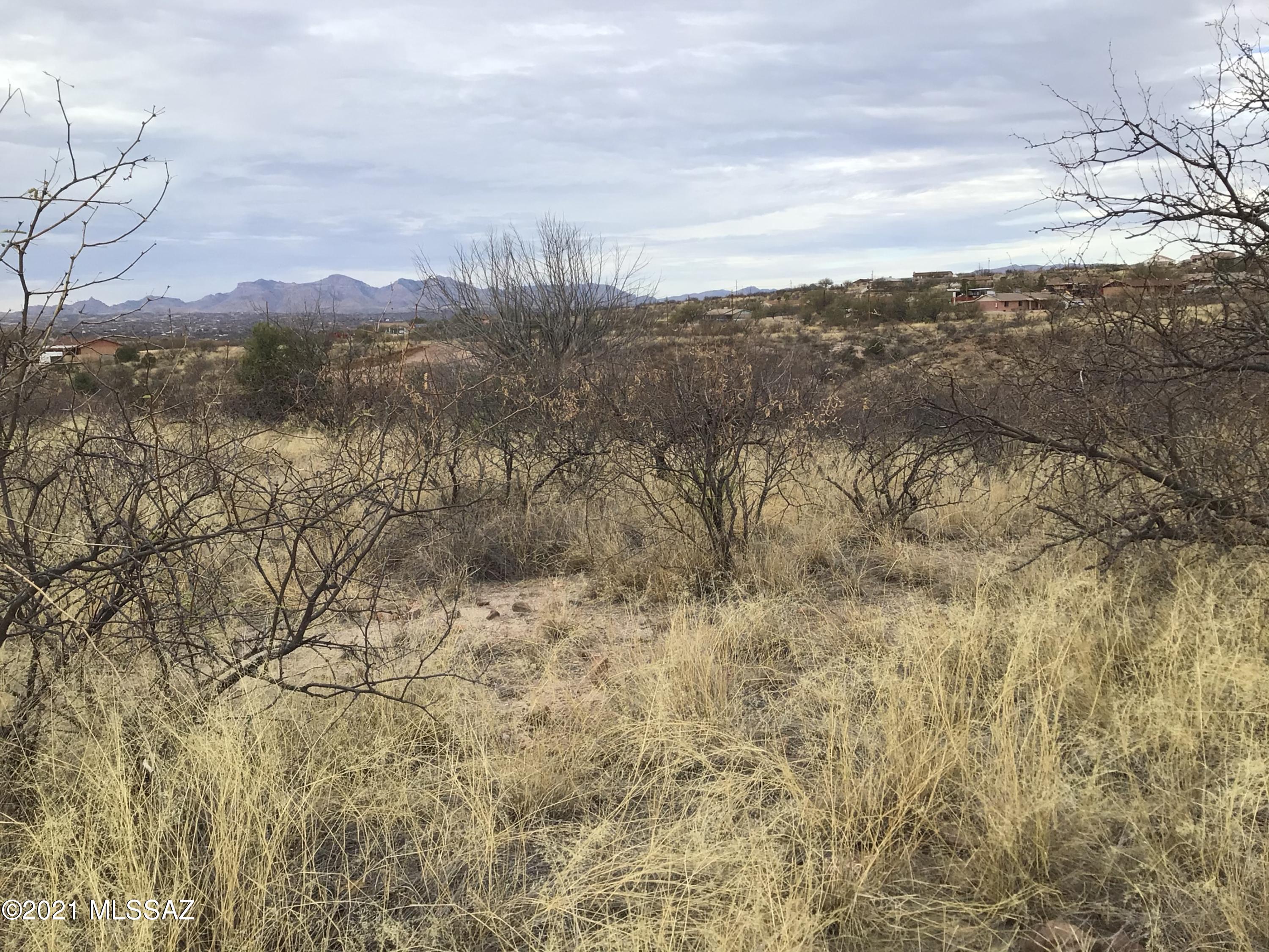 Rio Rico Ranchettes - Land