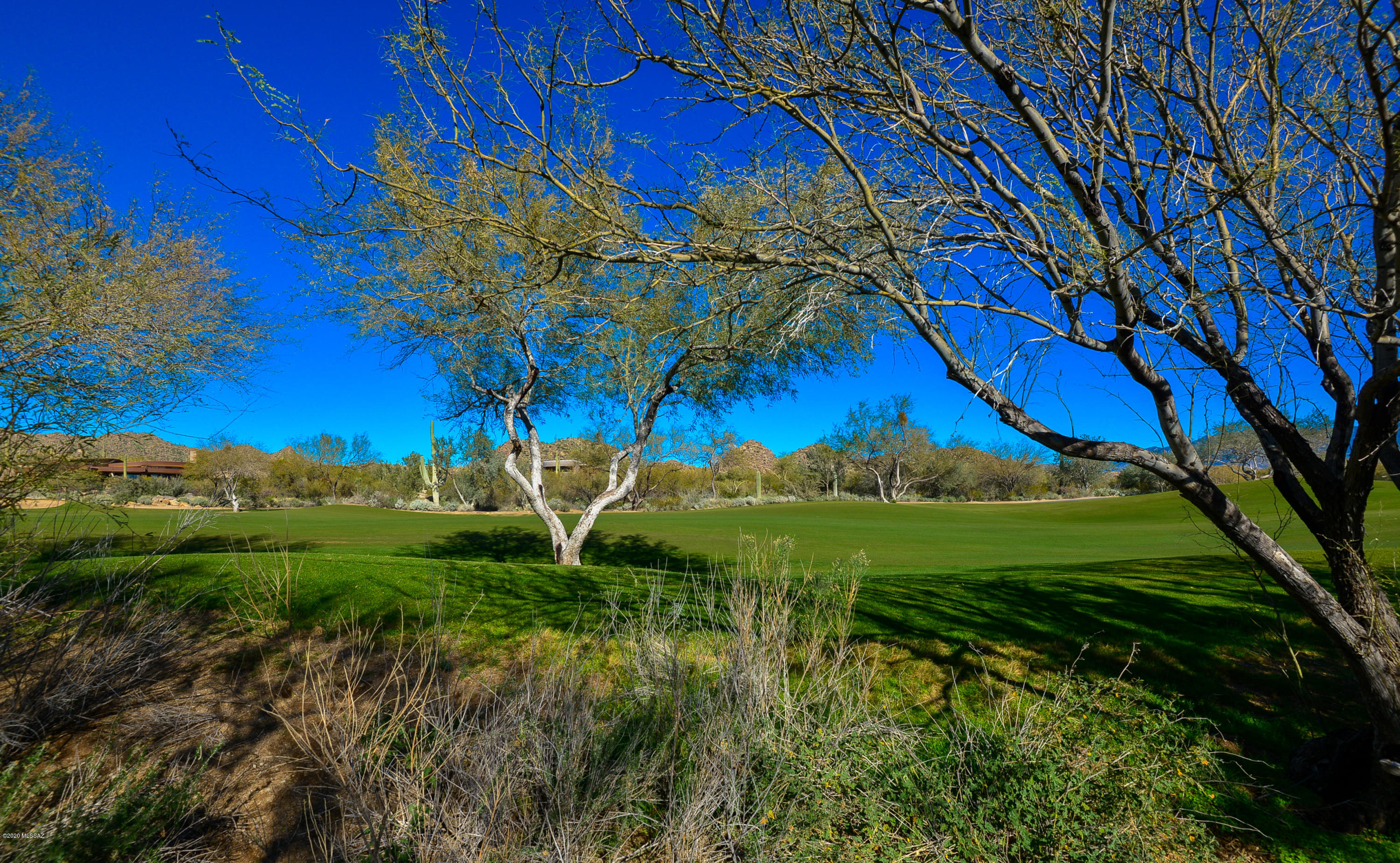 Enjoy outstanding Catalina Mountains and serene golf course views from this easy-build custom homesite in Tucson's premier golf community, The Stone Canyon Club. Located along the 11th fairway, this fairly flat, easy-build lot offers famed AZ desert tranquility with golf & majestic Catalina Mtn views! Stone Canyon is an exclusive guard-gated private luxury golf community in Oro Valley's Rancho Vistoso master planned development (check town website for accolades!). The desert setting is positively breathtaking! Stone Canyon Club owned by Arcis Golf offers great private amenities including restaurant, fitness facilities, pool & Jay Morrish-designed desert course. Premier luxury community with world-class championship golf and simply amazing scenery. Build when ready! Club Membership Req'd.
