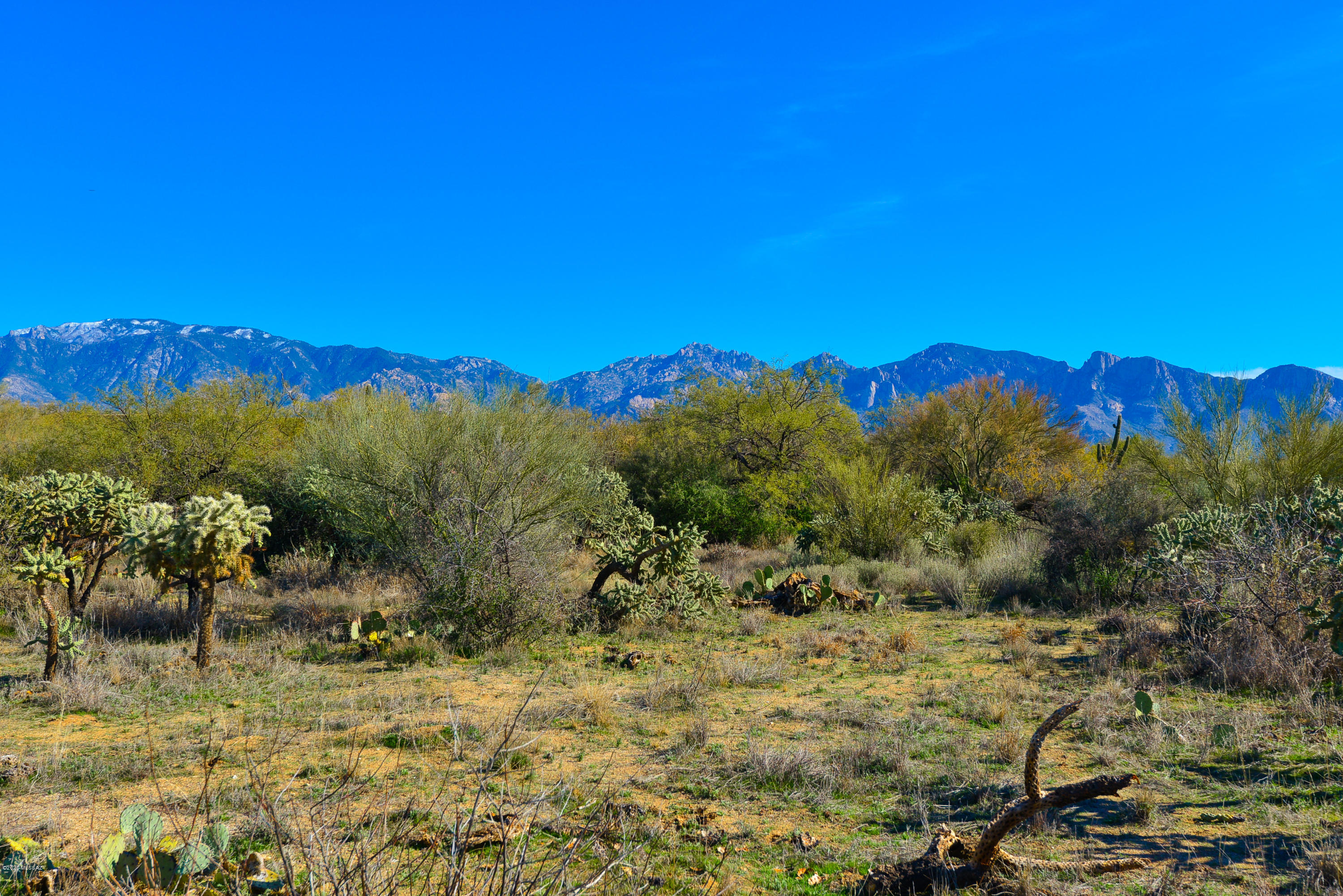 Stone Canyon I - Land