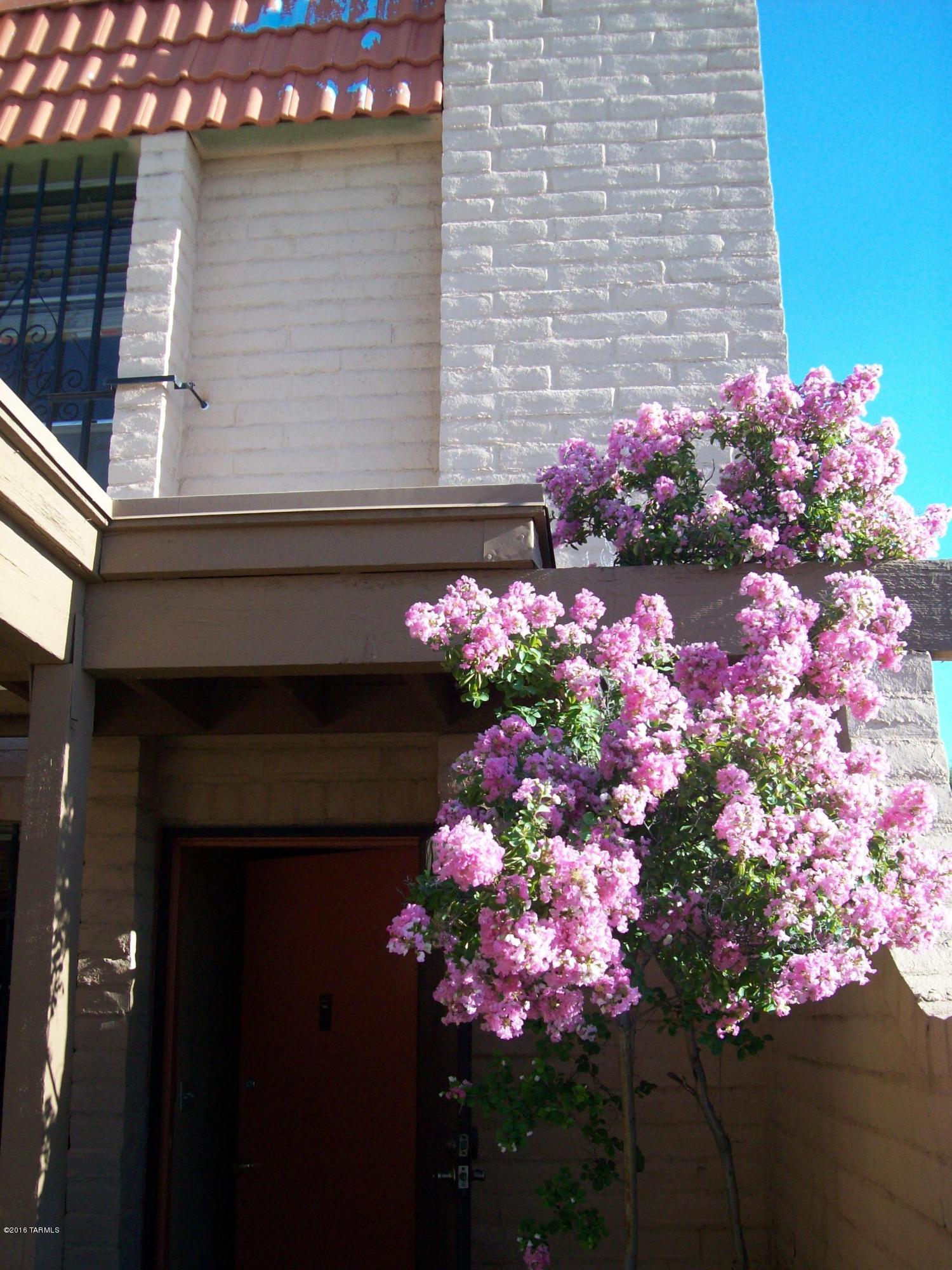 Tucson North Townhome Apts. - Residential Lease