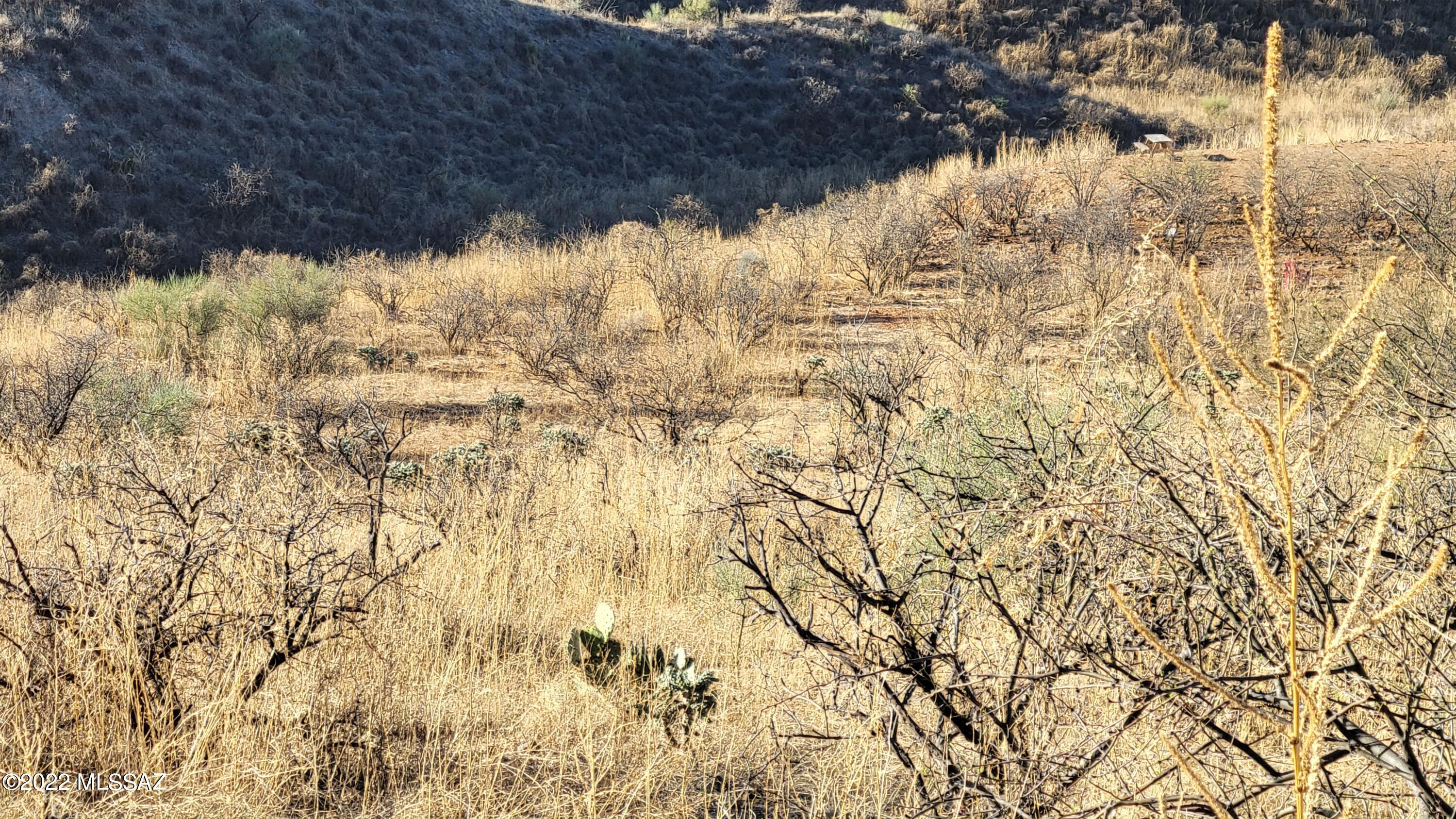 Rio Rico Ranchettes - Land
