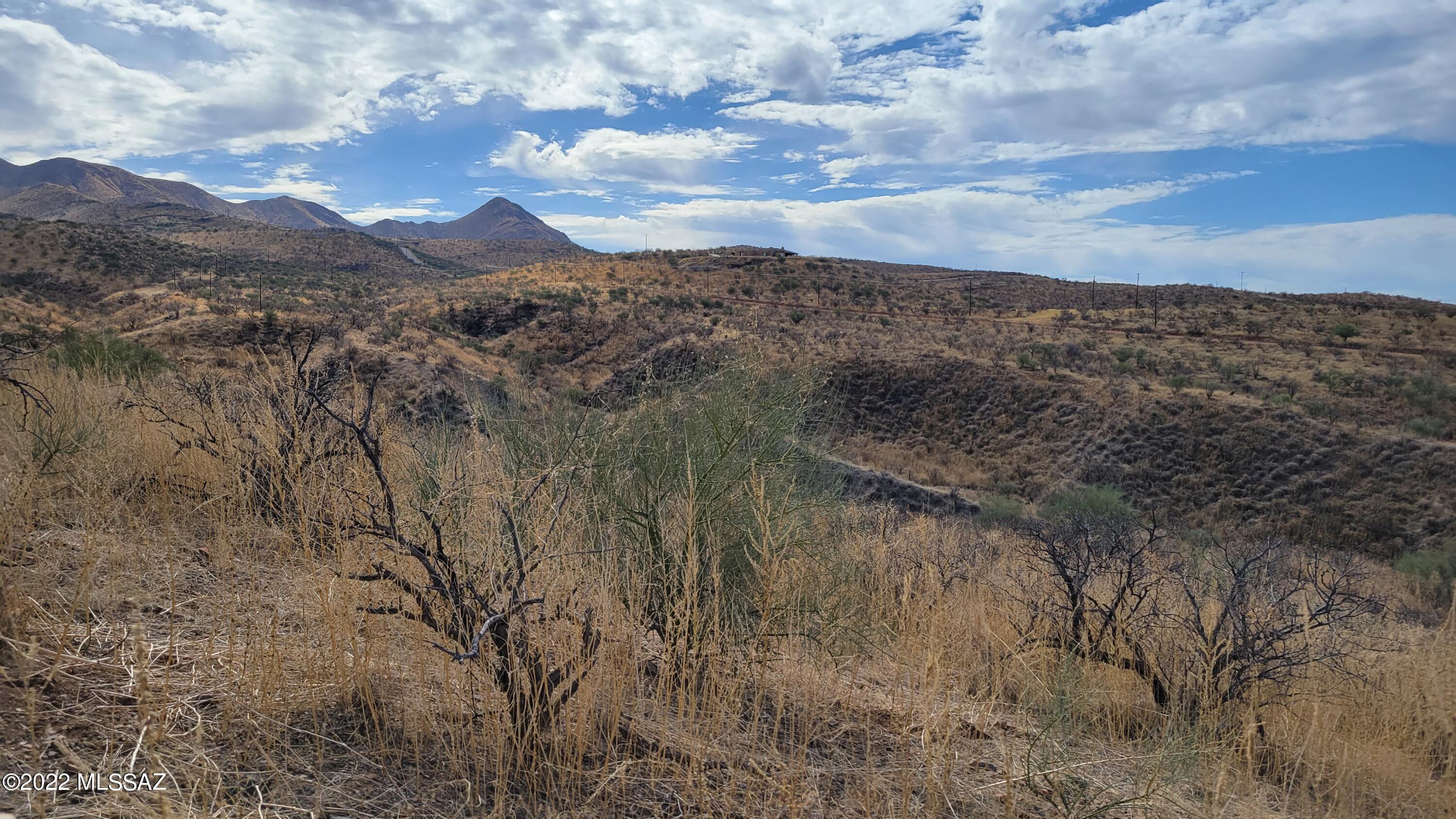 Rio Rico Ranchettes - Land