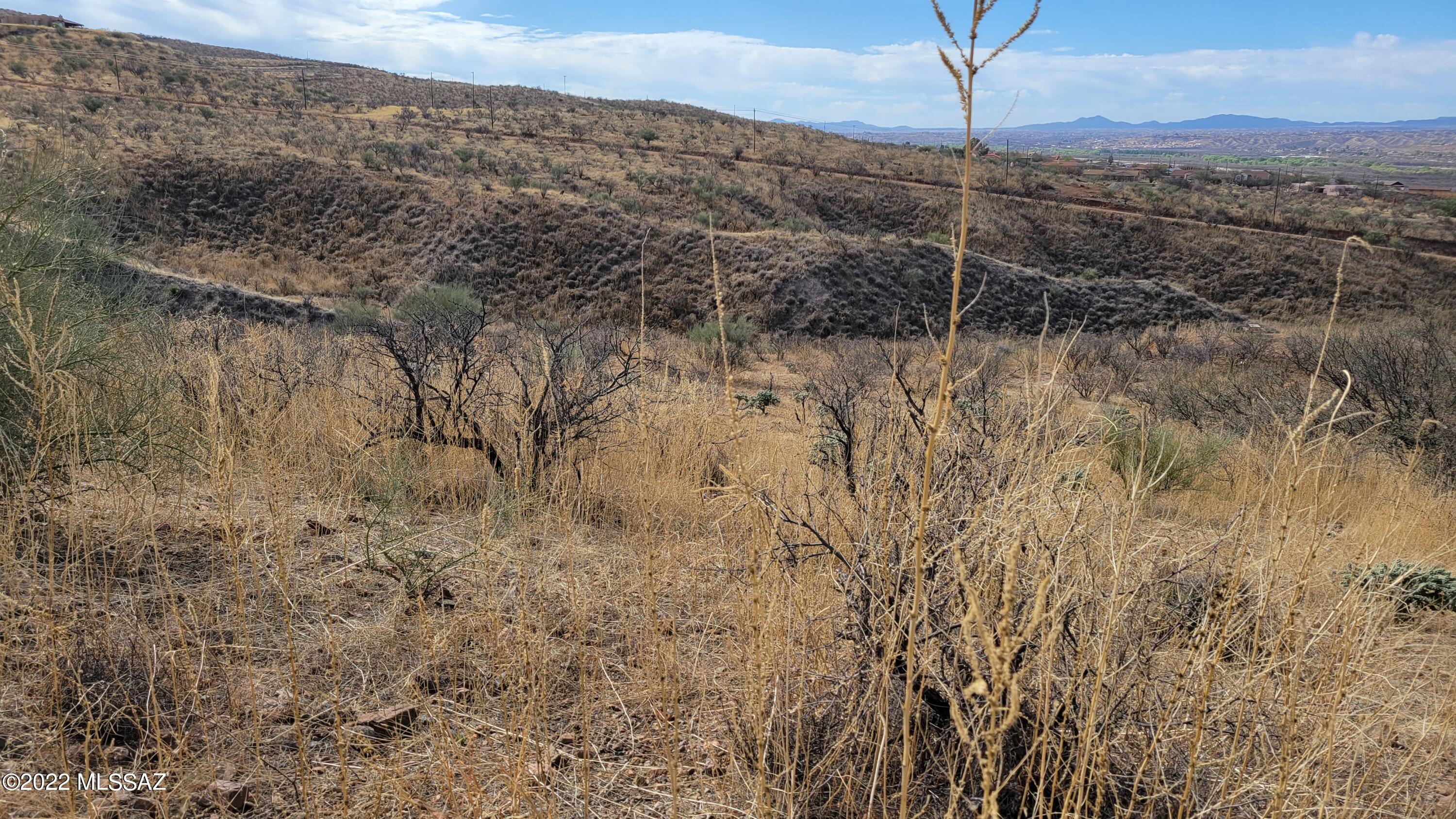 Rio Rico Ranchettes - Land