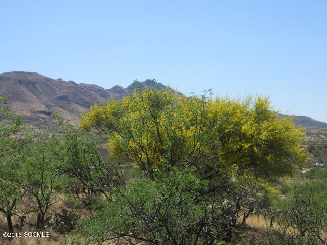 Rio Rico Villas 12 - Residential