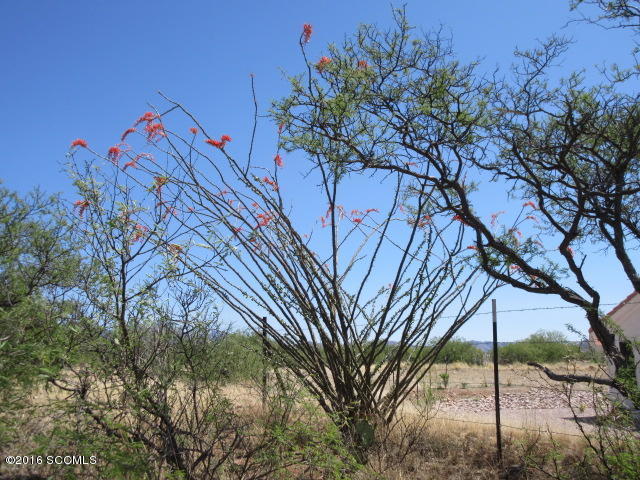 Rio Rico Villas 12 - Residential