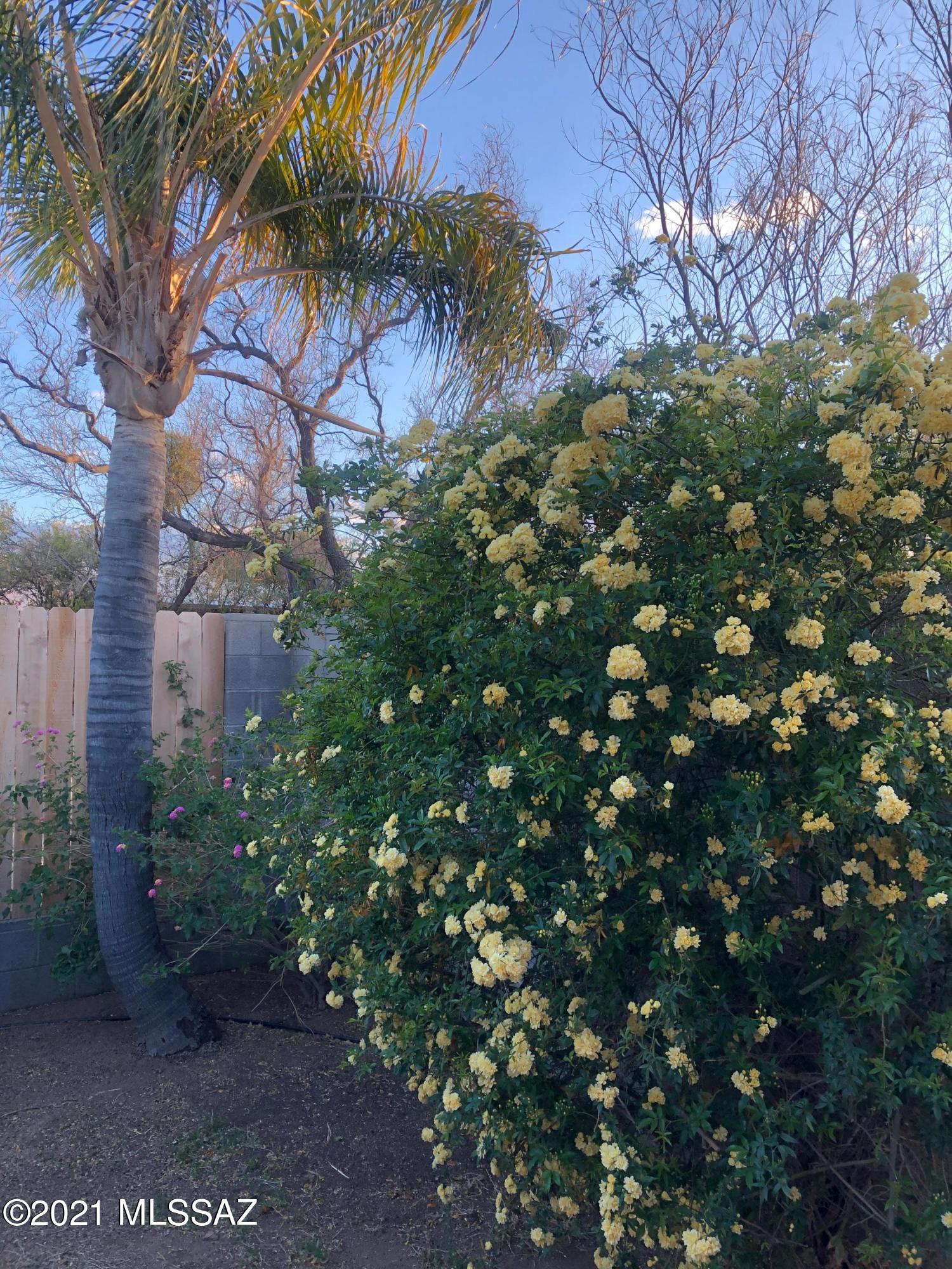Hermosa Highlands NO. 4 (1-83) - Residential