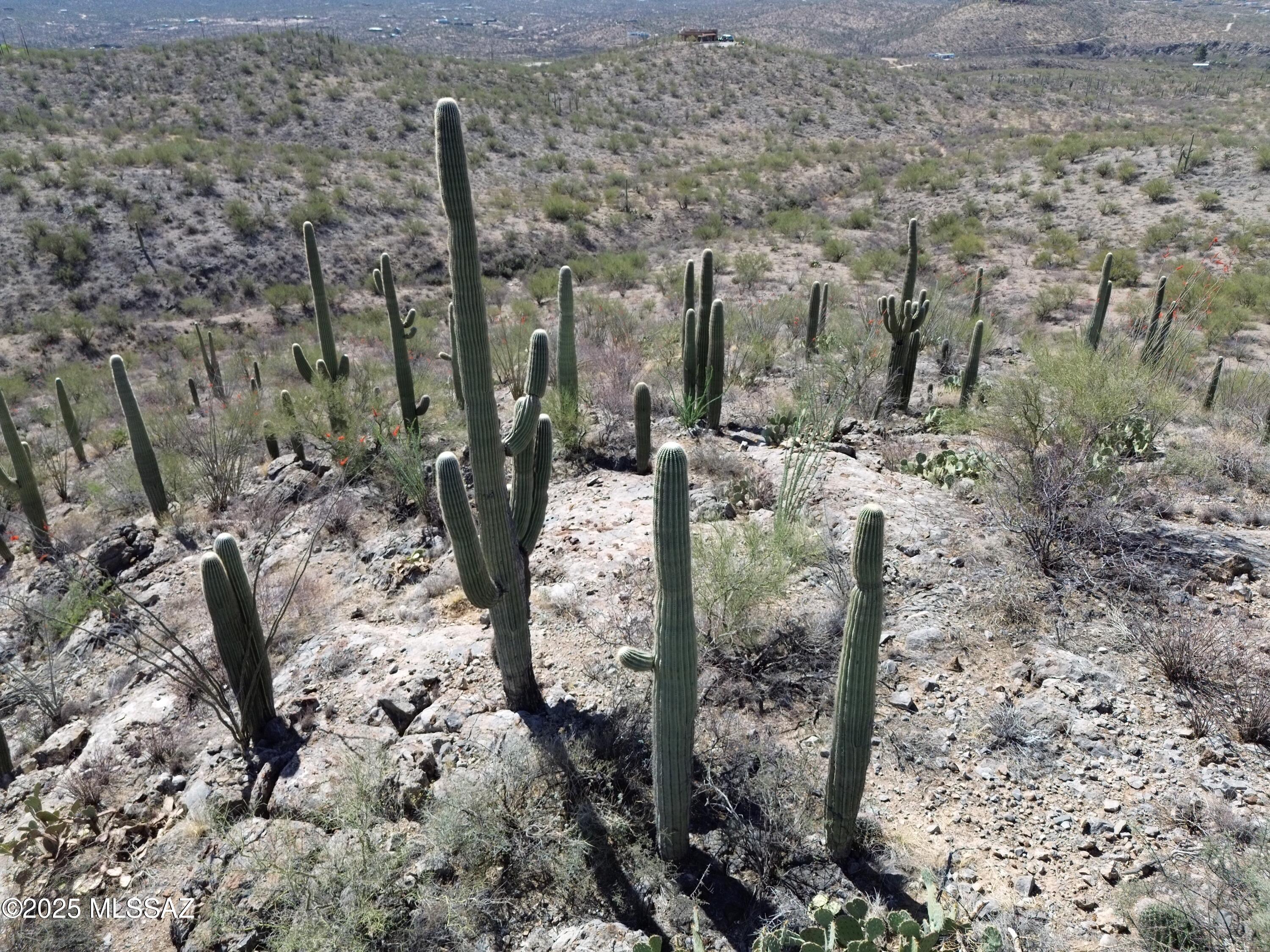 60 Acres Bordering Saguaro National Park - Rincon Valley, AZ   All or part are for sale!
Zoned RH - Ideal for Estate, Ranch, or Low-Density Development
An exceptionally rare offering: 60 acres of unspoiled desert beauty in the heart of Rincon Valley, directly bordering Saguaro National Park on two sides. This property delivers the kind of tranquility, privacy, and scenic grandeur that can't be replicated — all just 40 minutes from downtown Tucson. Surrounded by the protected landscapes of the national park, the land is covered in towering saguaros, native mesquite, and sweeping desert grasslands, with uninterrupted views of the Rincon Mountains. Wildlife is abundant, and the quiet is absolute. Zoned RH (Rural Homestead), the property allows for low-density residential development, equestrian use, or the creation of a private estate or ranch compound. The large lot size, combined with bordering federal lands, ensures lasting seclusion and minimal nearby development.
Whether you're looking to build a signature desert retreat, invest in land with long-term potential, or simply secure a rare piece of Arizona's natural heritage, this property offers a unique opportunity to own a slice of the Sonoran Desert at its most majestic.  Agent is related to Owner.