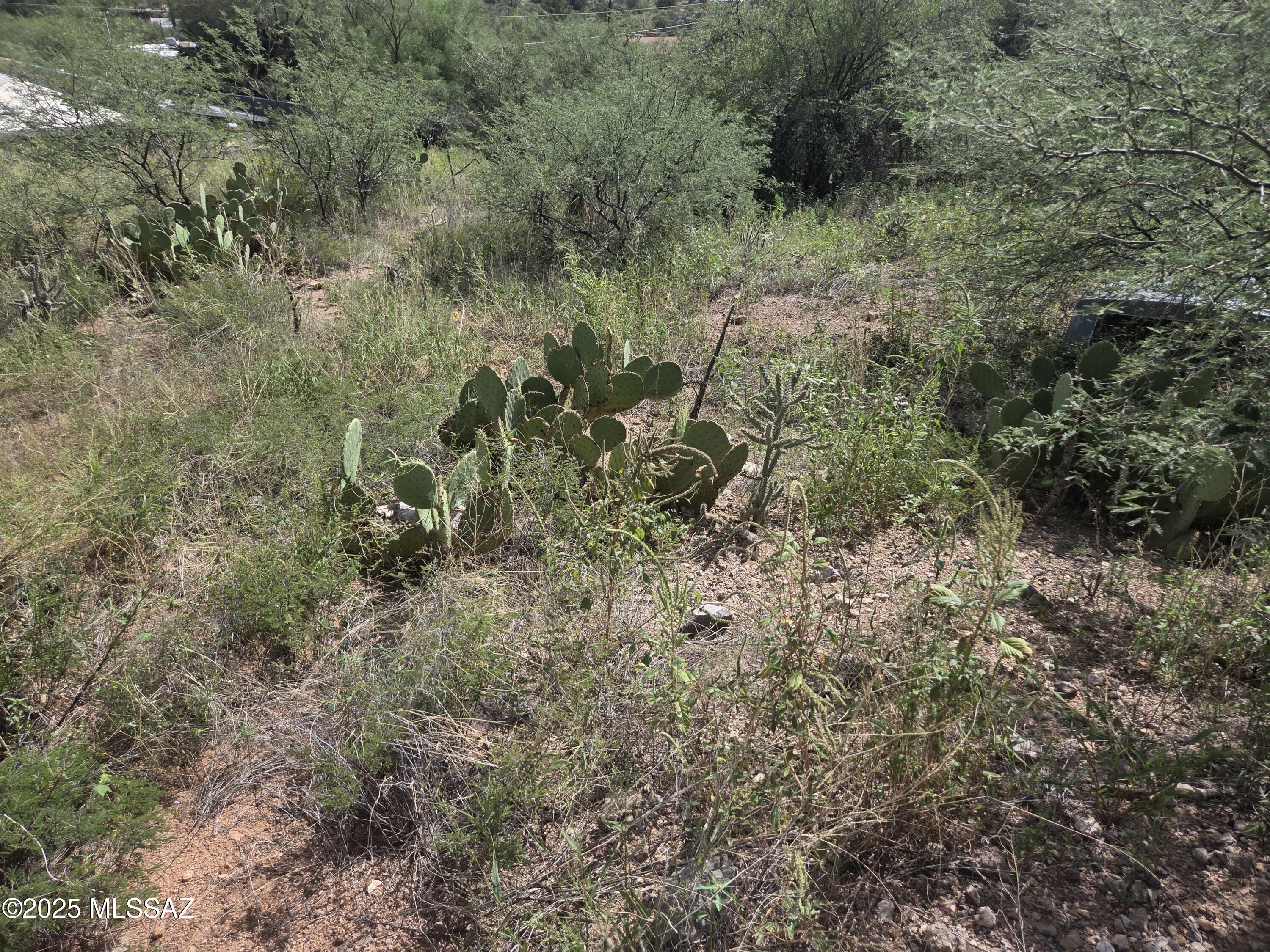 Beatus Estates - Land